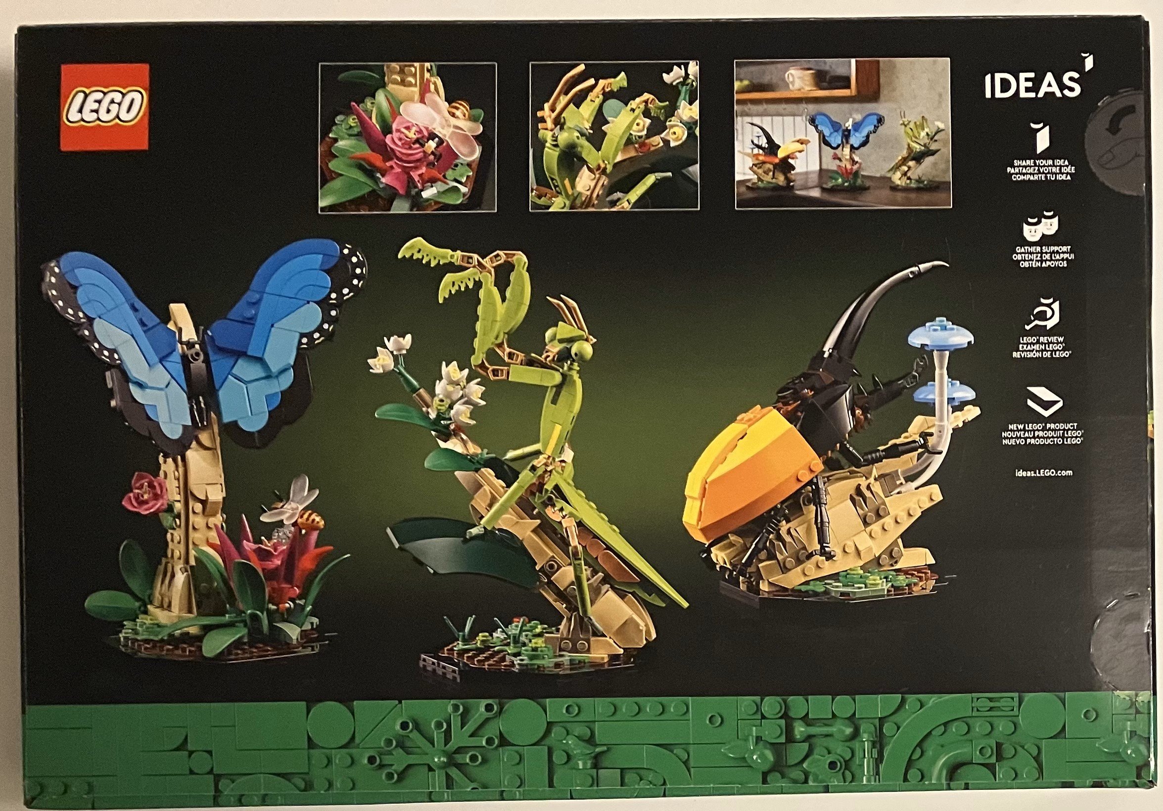 LEGO Ideas 21342 The Insects Collection detailed preview 