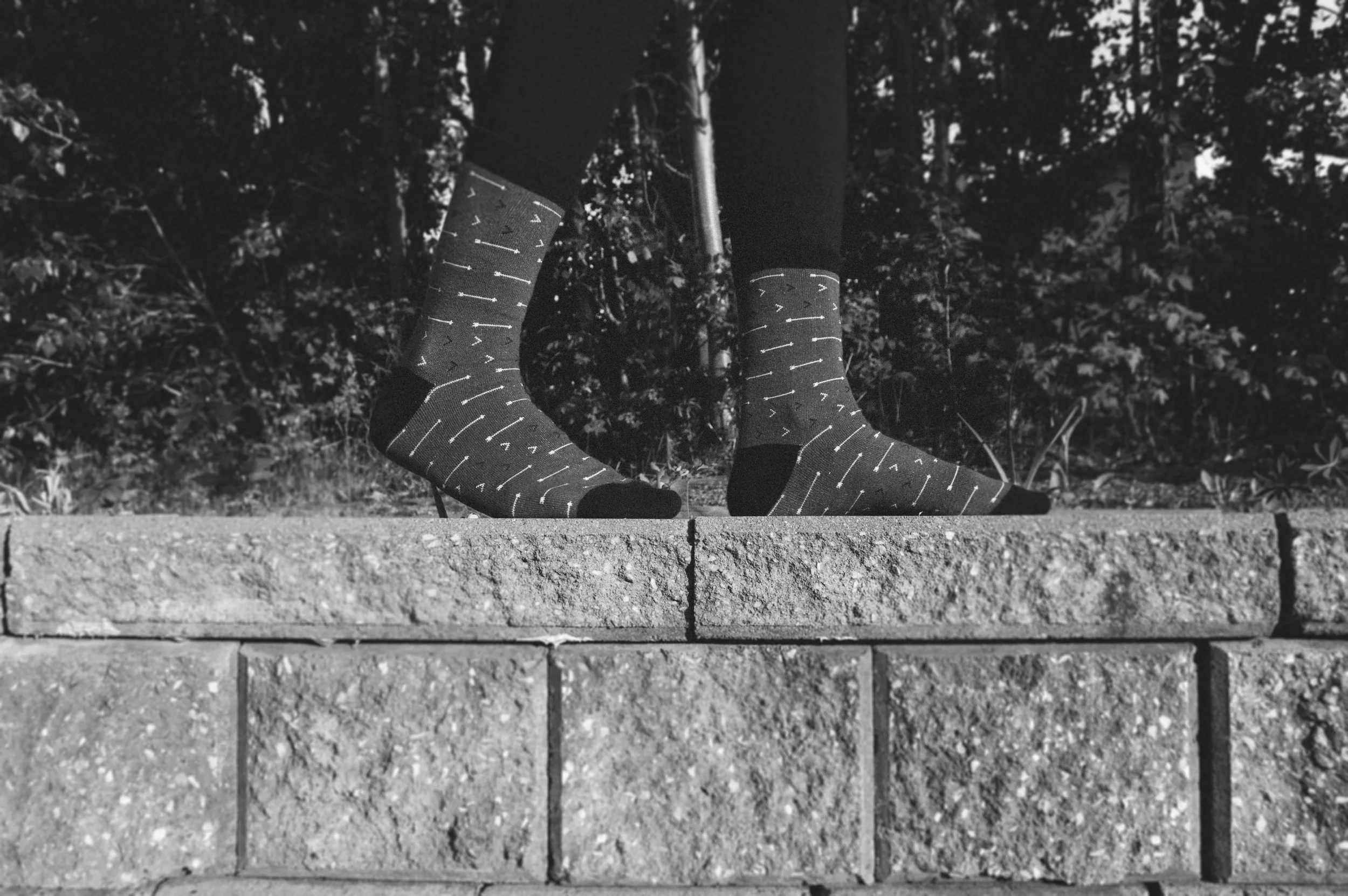 _DSC0321.jpg