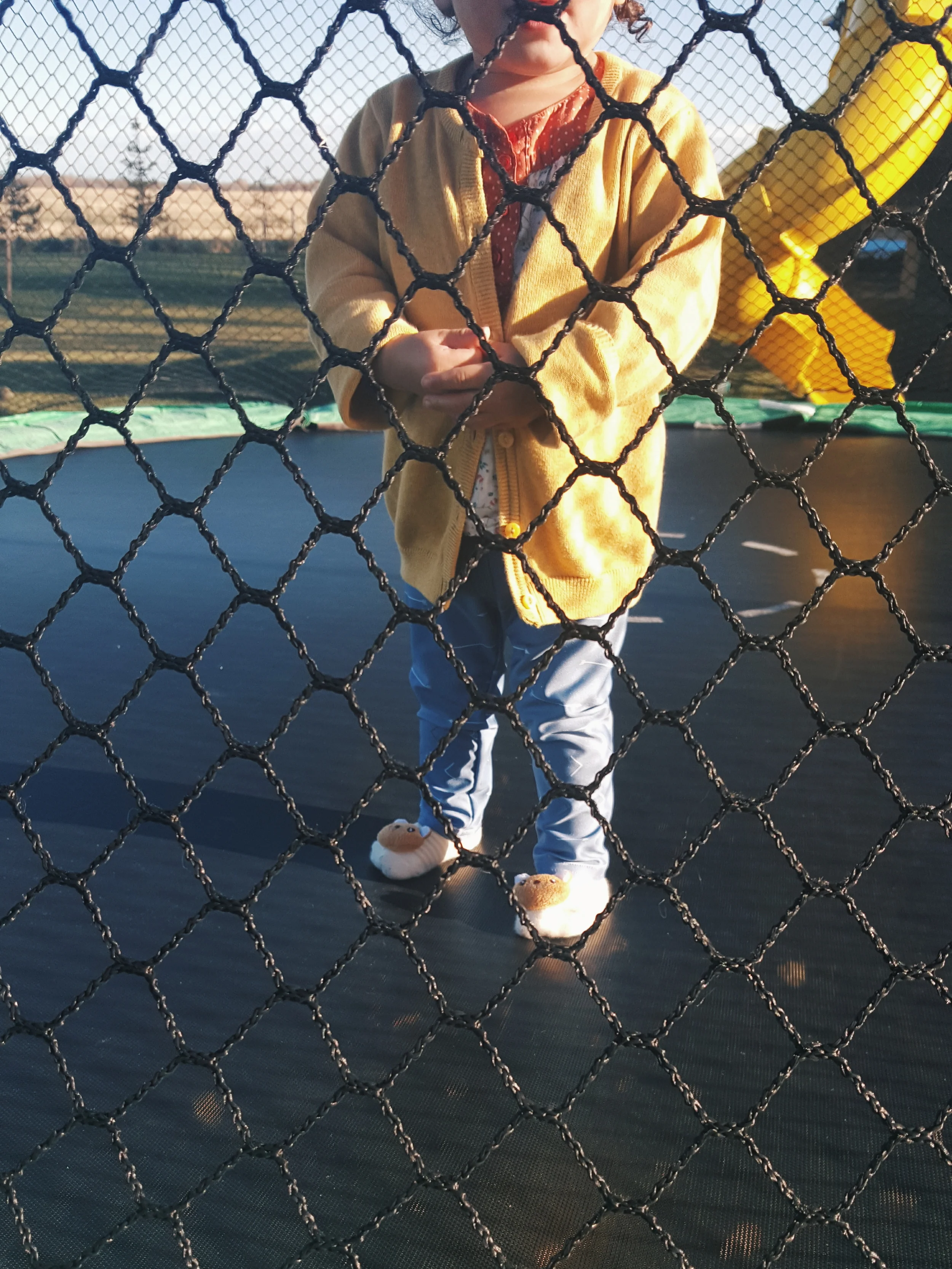 2015-11-03 04.19.13 1.jpg