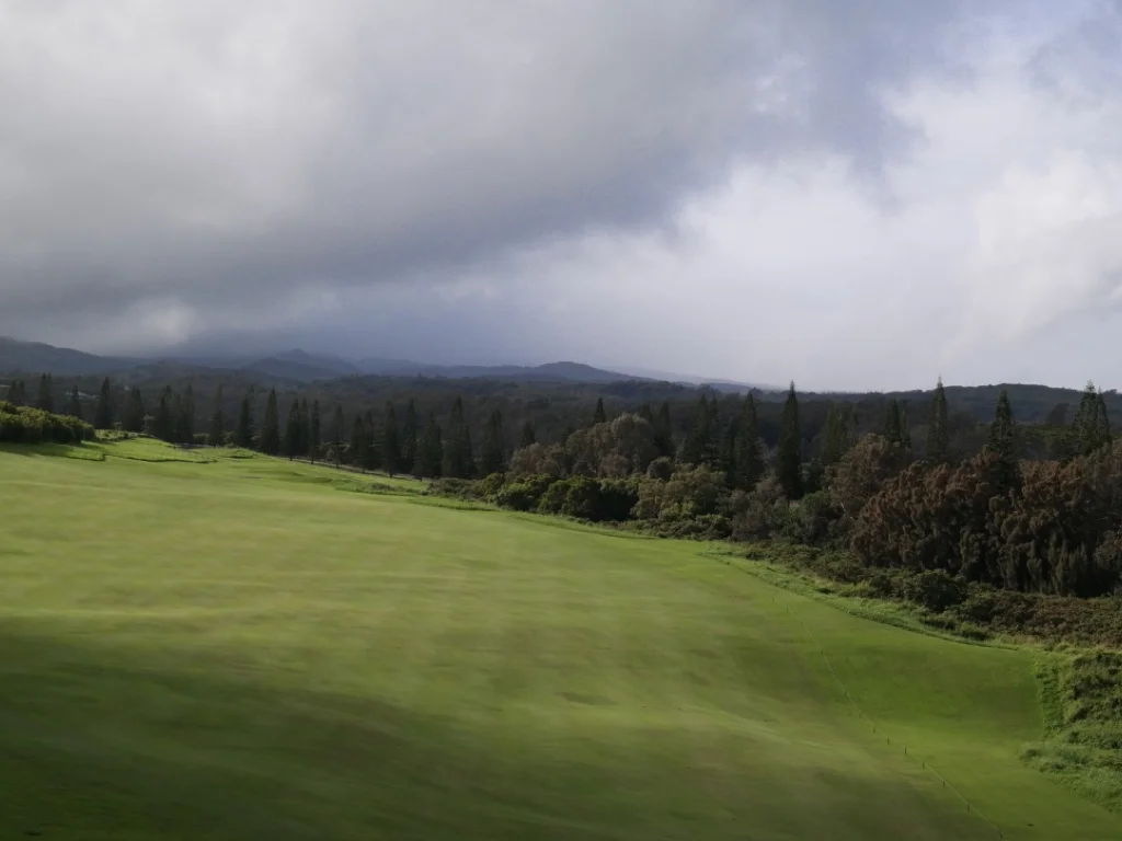 Blank Title Slides for Gray.008.jpeg