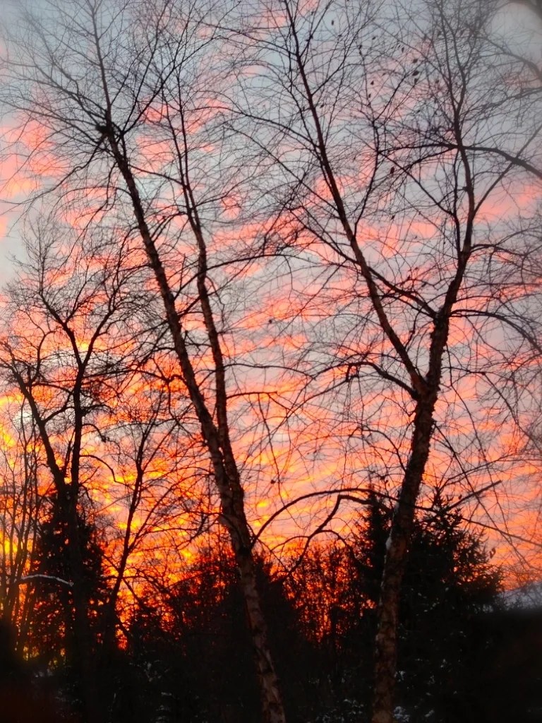 Blank Title Slides for Gray.013.jpeg