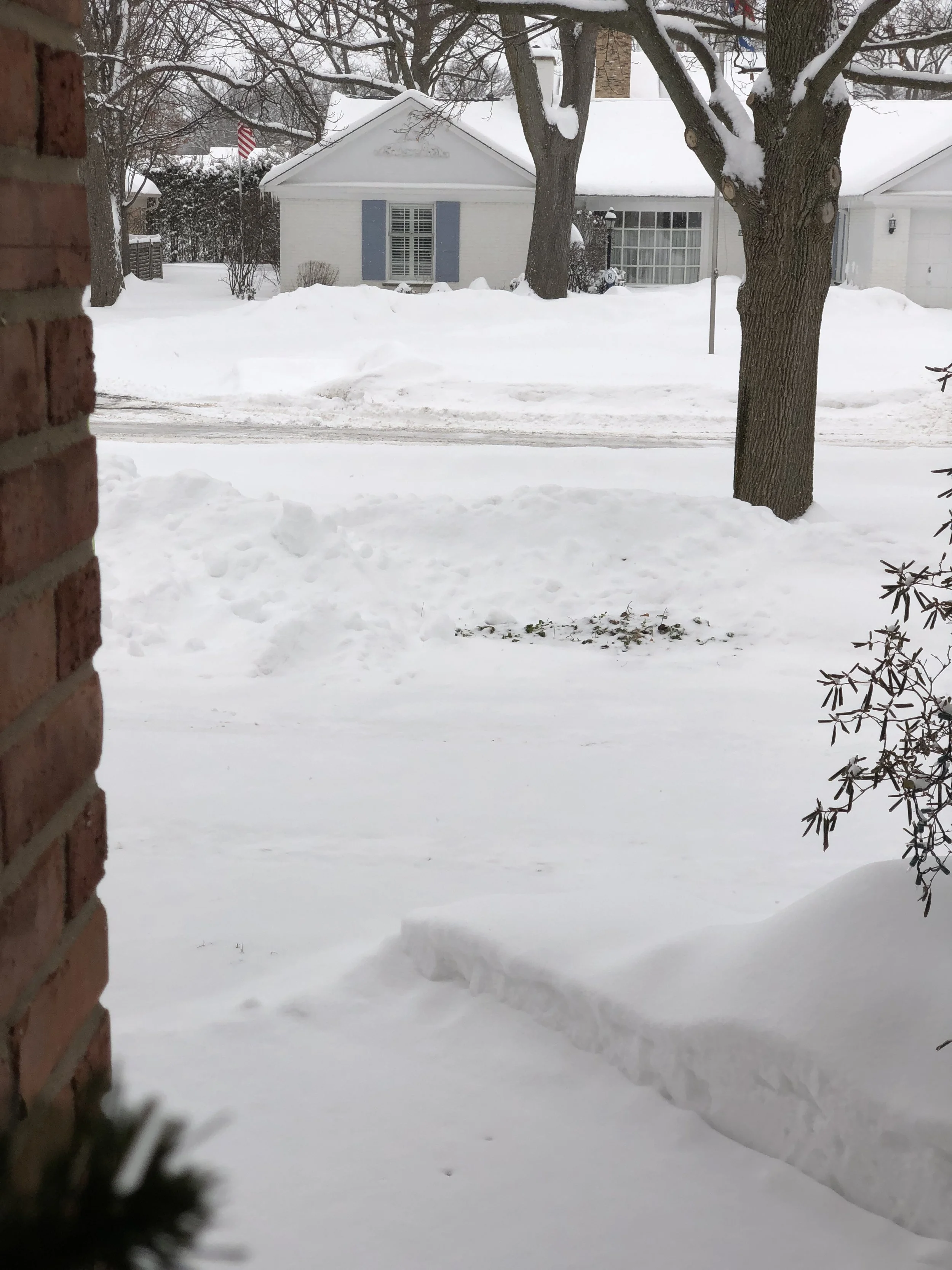 Go slow on the snow