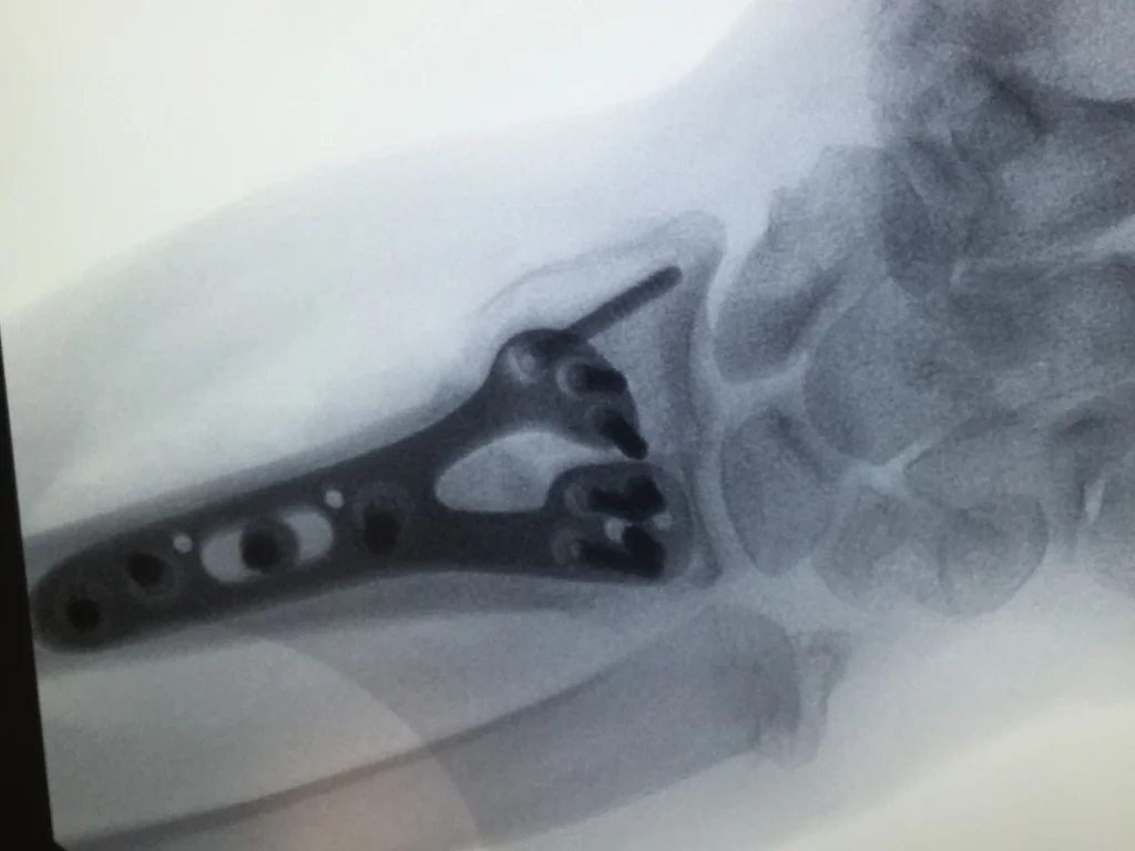 Blank Title Slides for Gray.004.jpeg