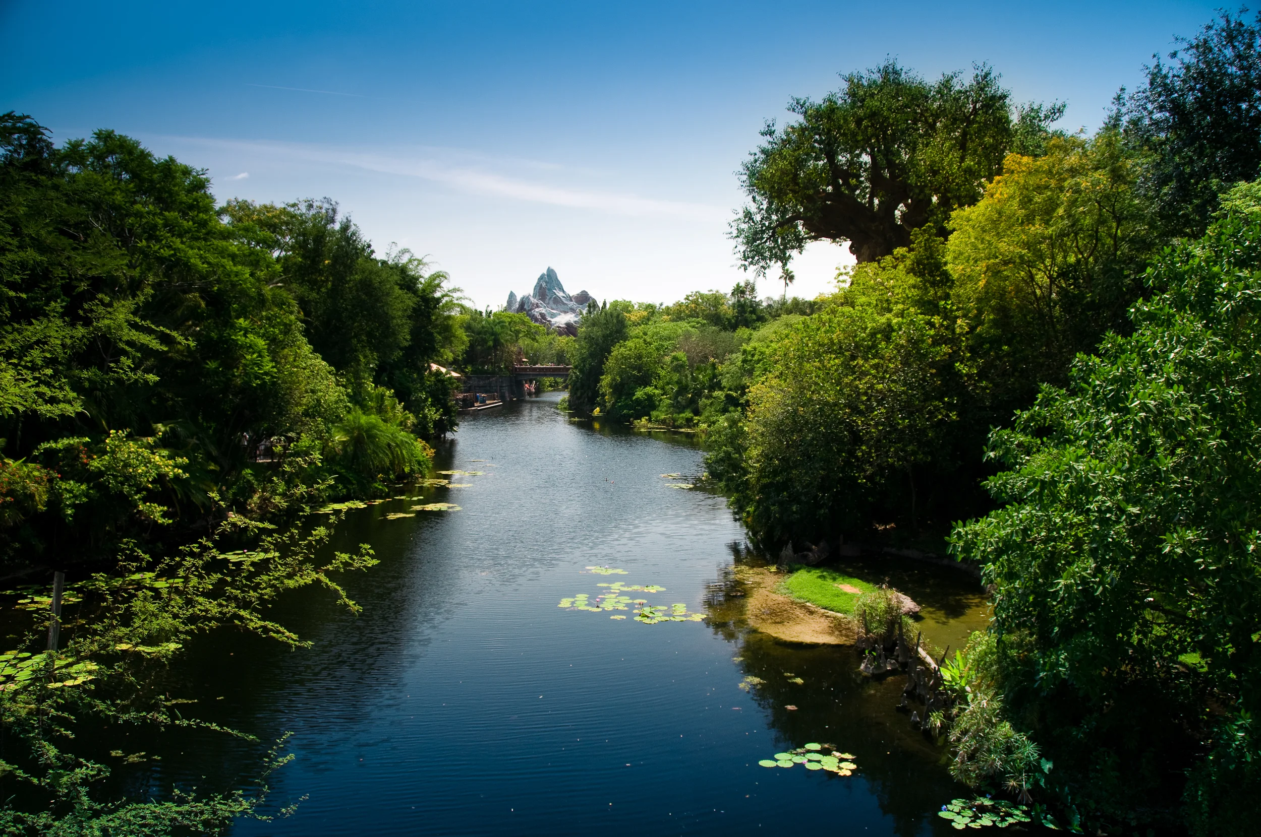 disney-028.jpg