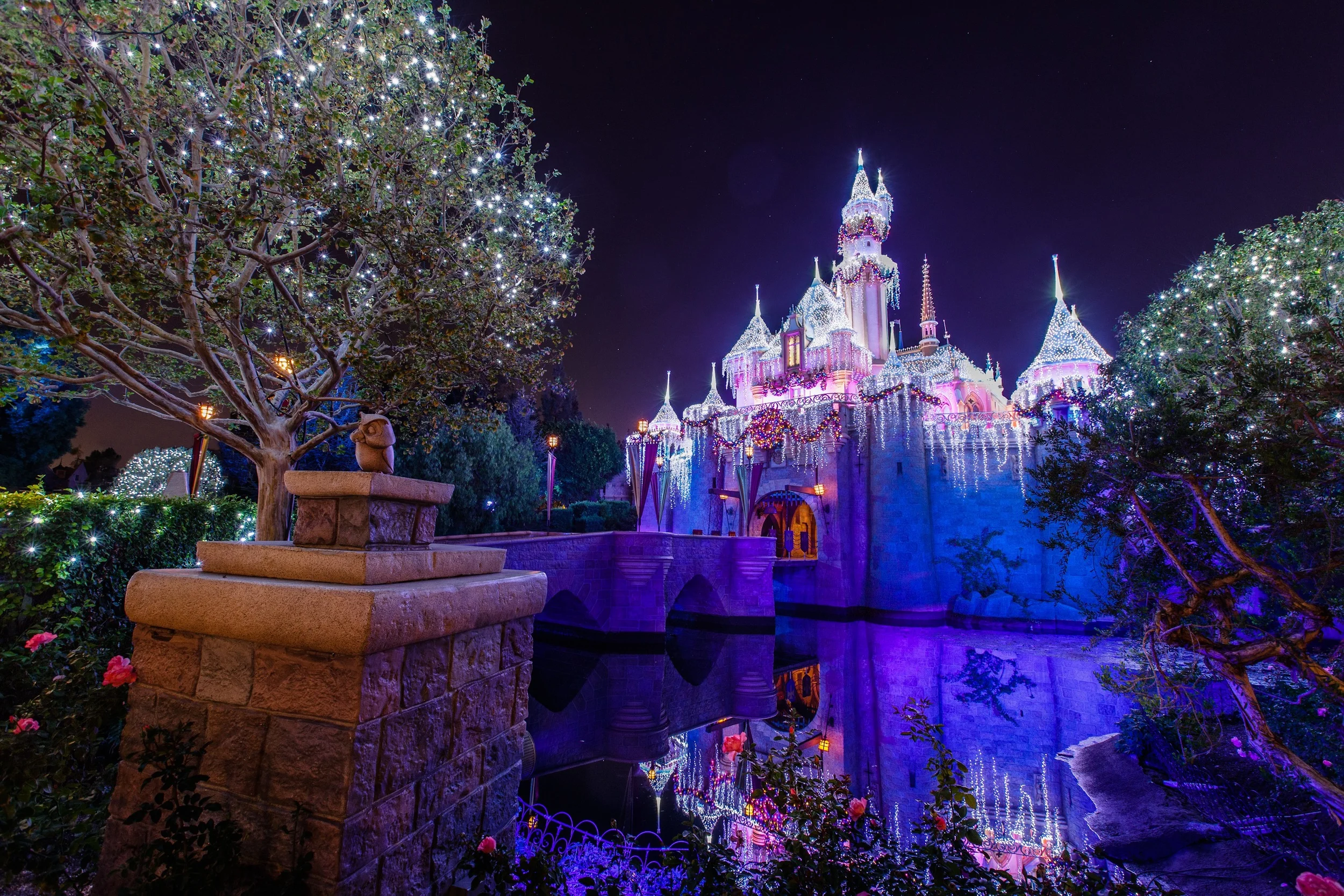 disney-061.jpg