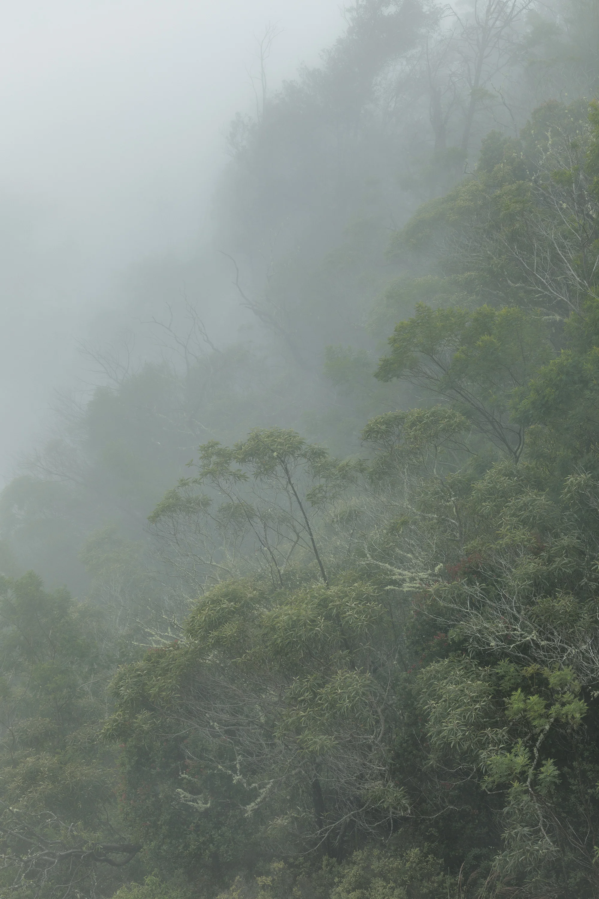 kauai-waimea-canyon-180920-11231.jpg