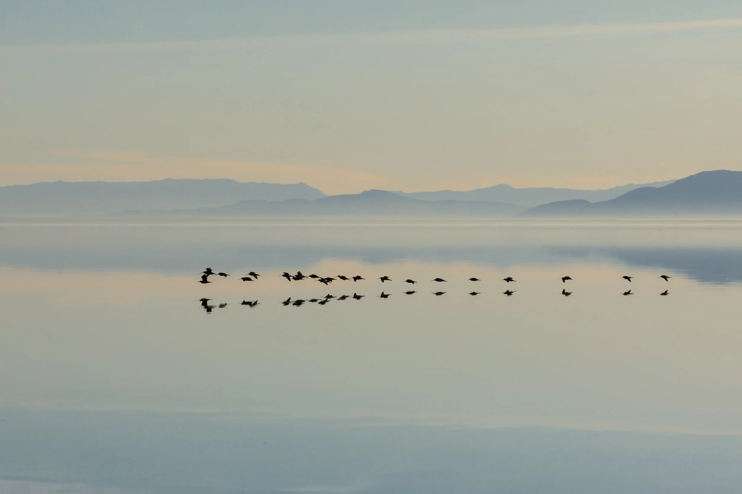 salton-sea-bombay-beach-180117-0567.jpg