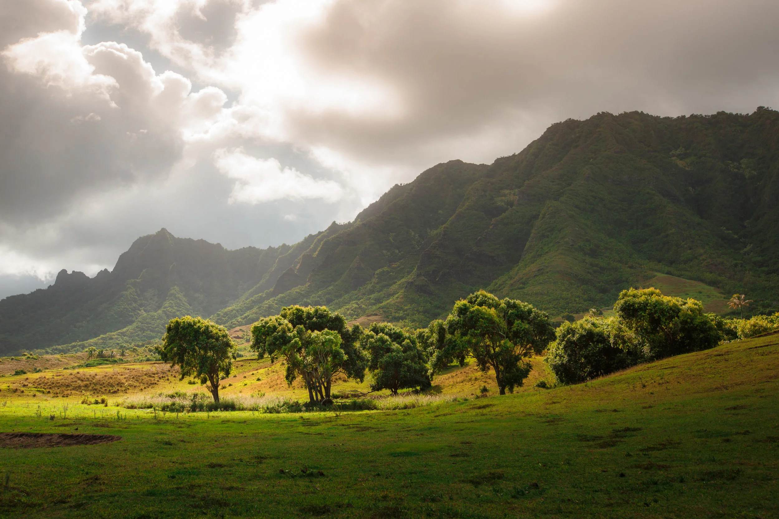 kualoa-ranch-130915-0890.jpg