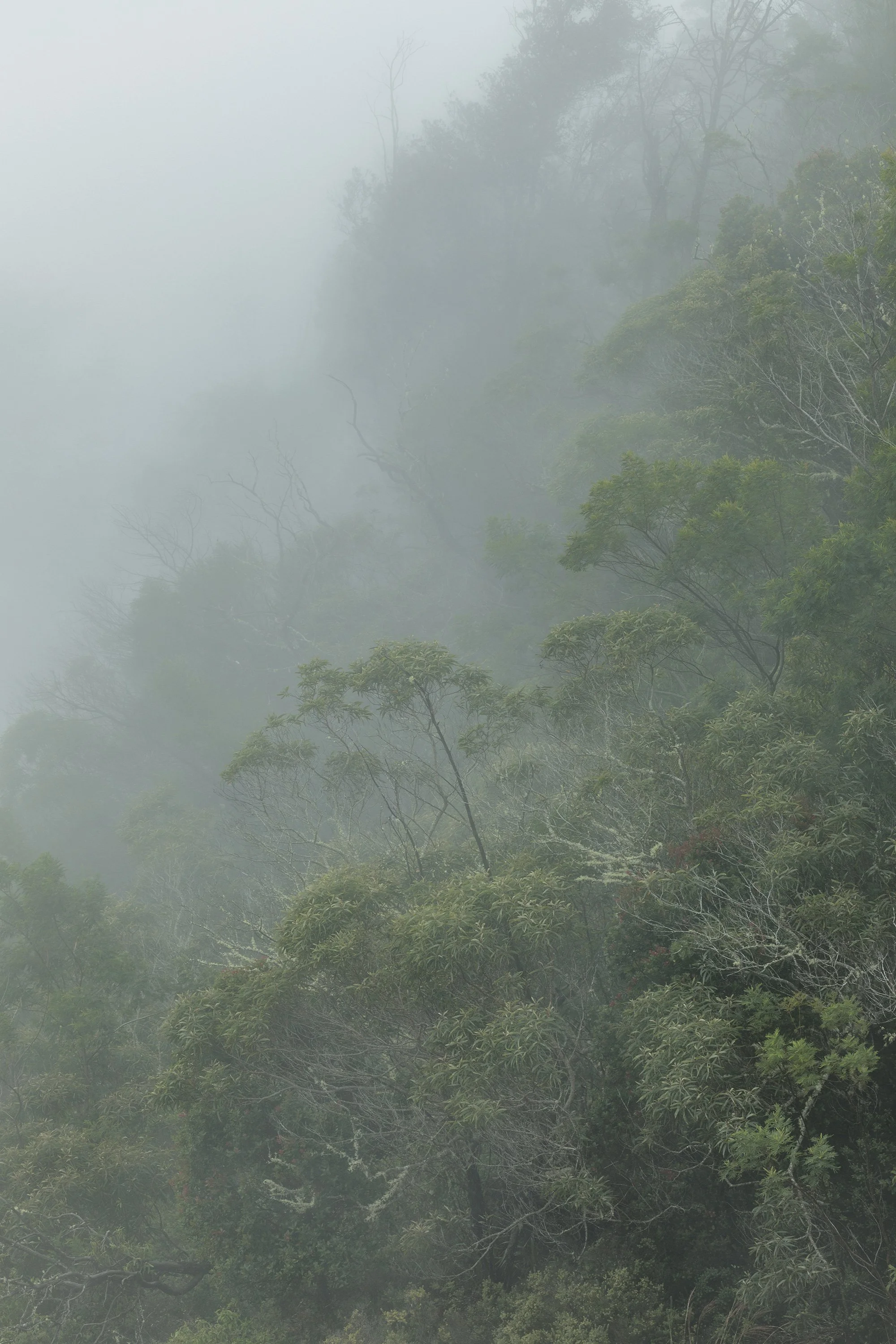 kauai-waimea-canyon-180920-11231.jpg