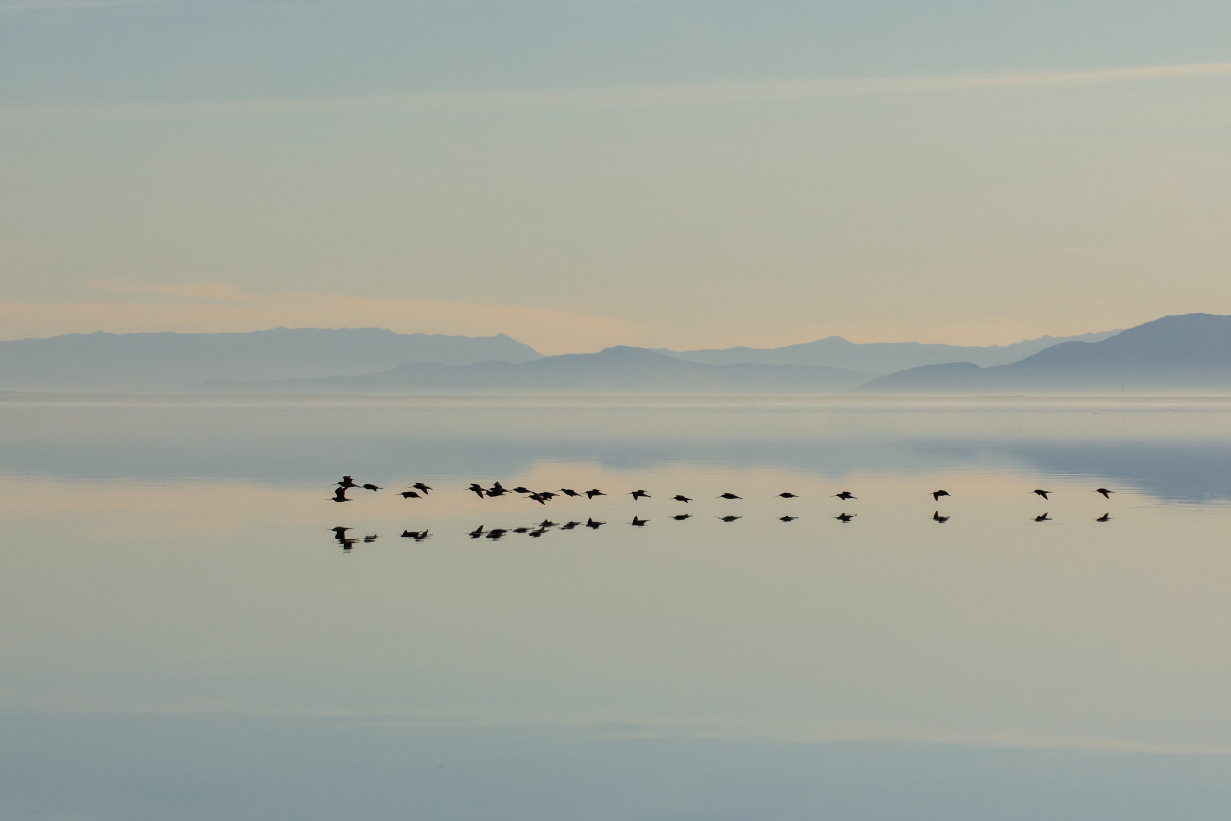 salton-sea-bombay-beach-180117-0567.jpg