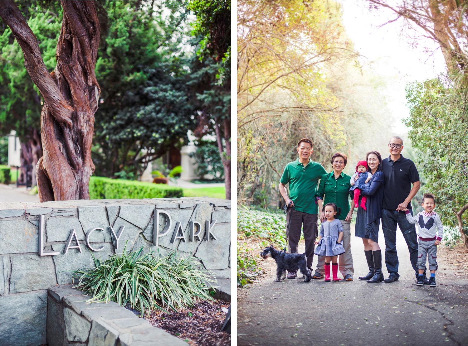 Lacy Park Family Portraits | Stephen Grant Photography
