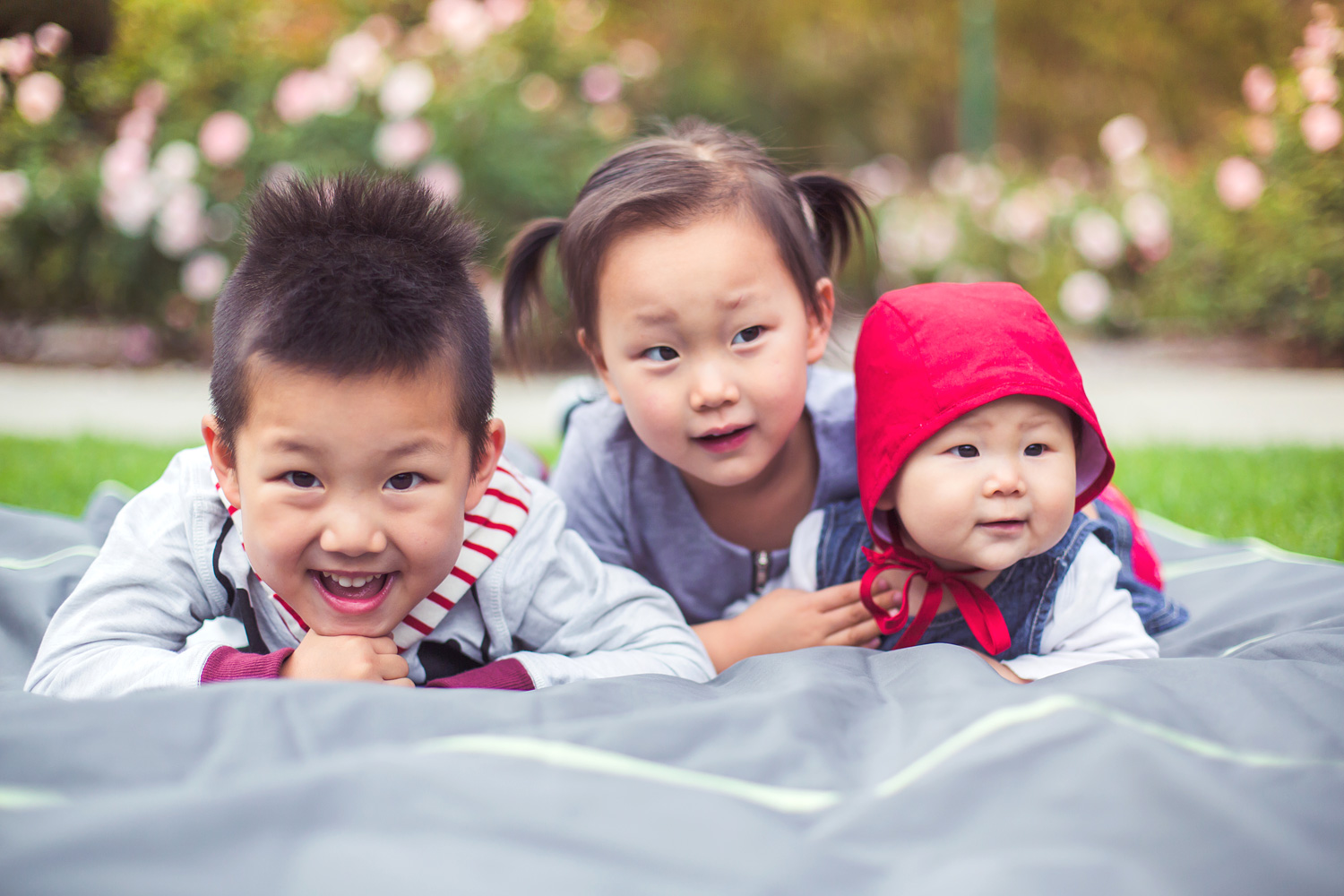 Lacy Park Family Portraits | Stephen Grant Photography