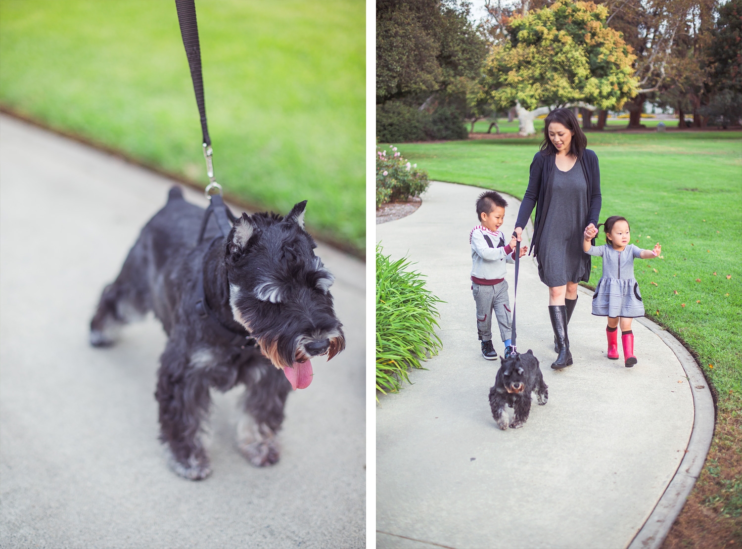 Lacy Park Family Portraits | Stephen Grant Photography