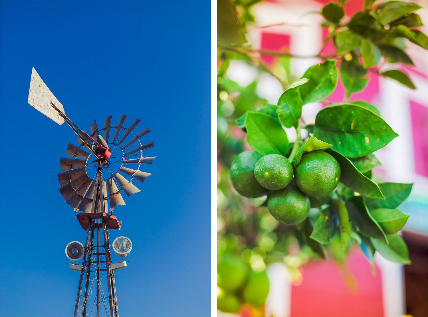 OC Fair Engagement | Stephen Grant Photography
