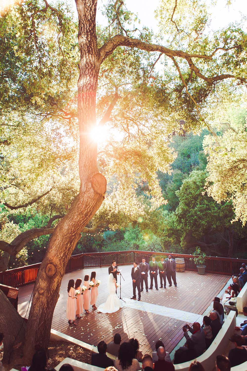 The 1909 Wedding | Stephen Grant Photography