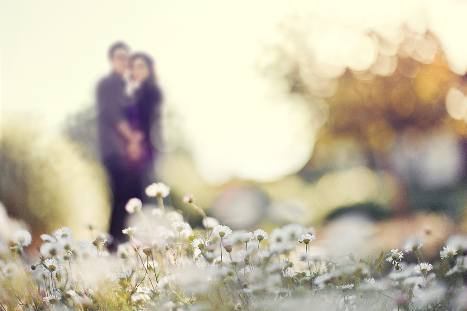 Malaga Cove Engagement Palos Verdes | Stephen Grant Photography