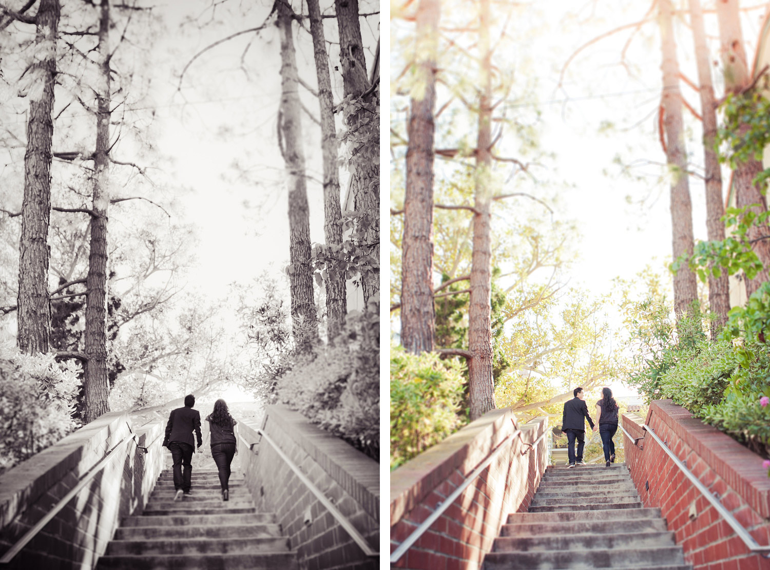 Malaga Cove Engagement Palos Verdes | Stephen Grant Photography