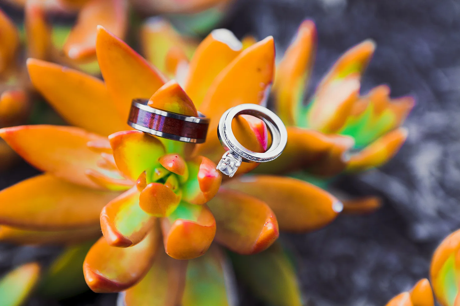 New Website - Welcome!