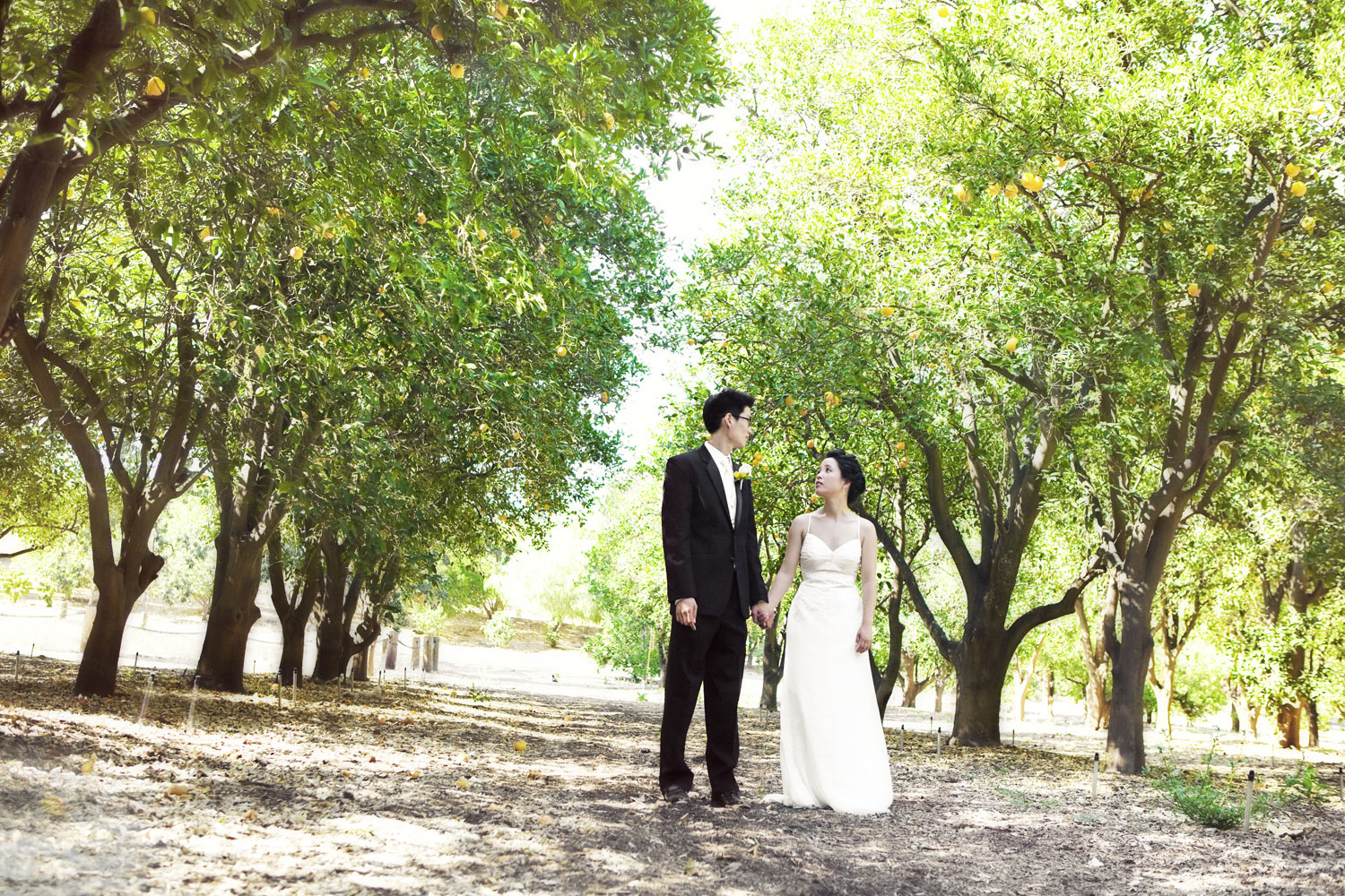 Orcutt Ranch Wedding | Stephen Grant Photography