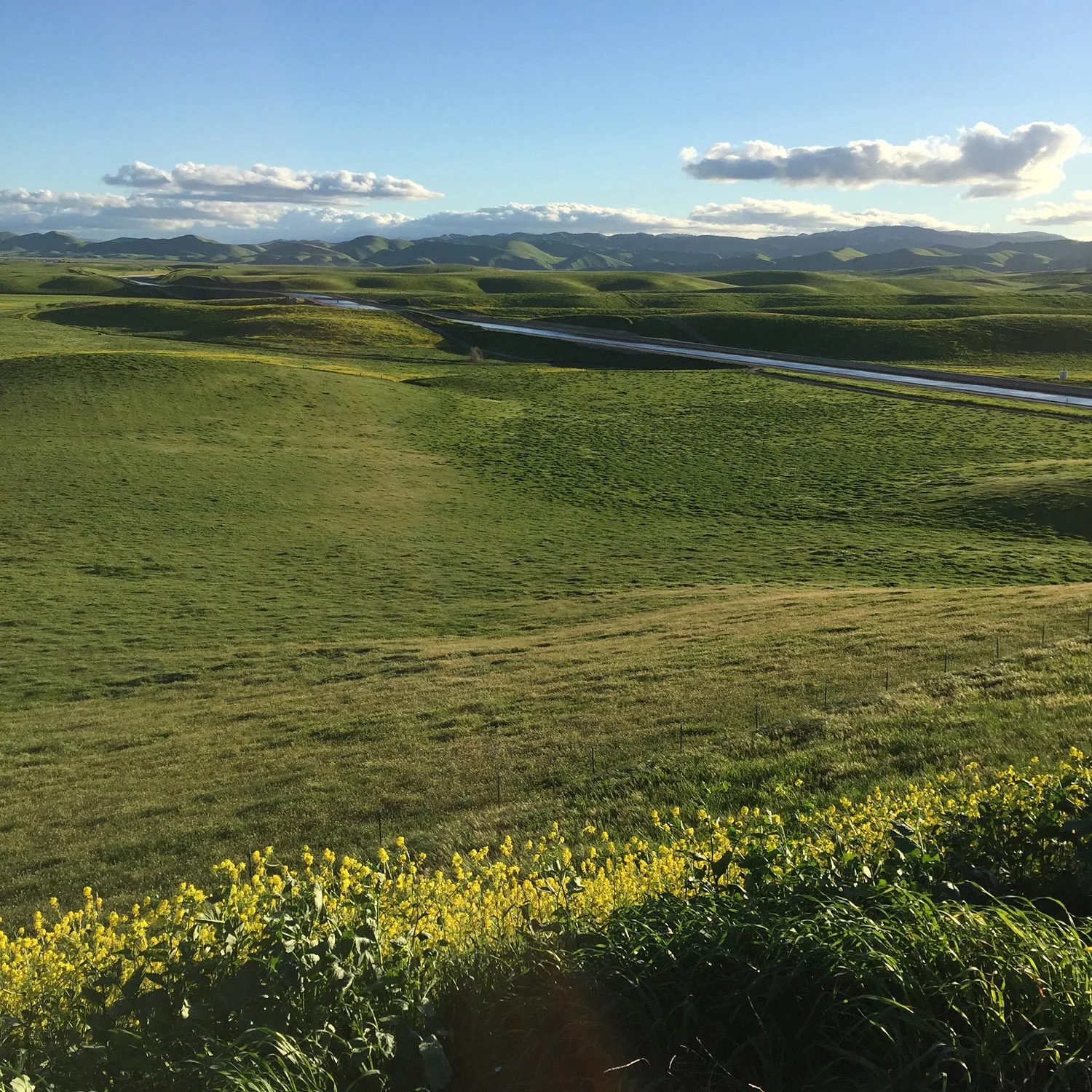 Southern California 5 Freeway Landscape | Stephen Grant Photography
