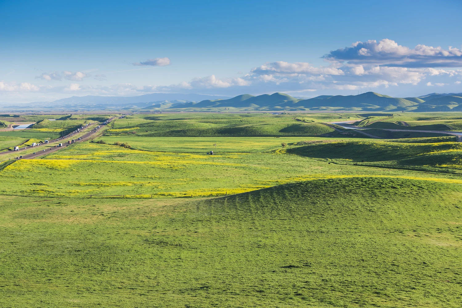 Wedding Roadtrip on the 5