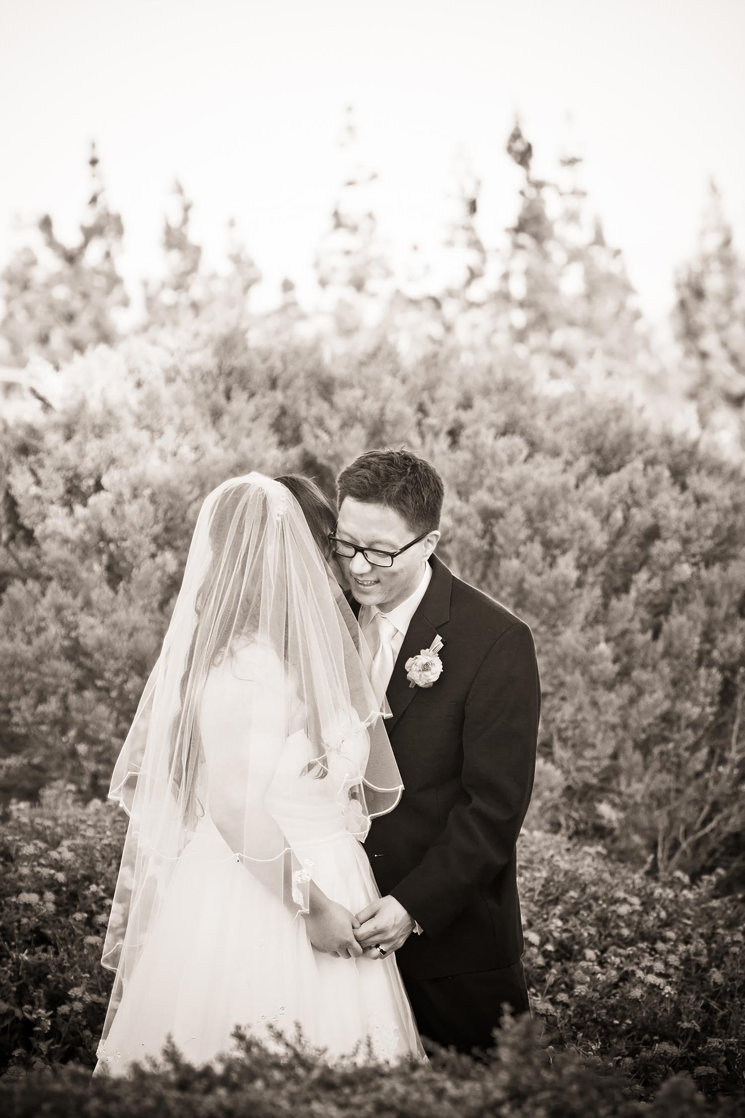 Summit House Wedding | Stephen Grant Photography