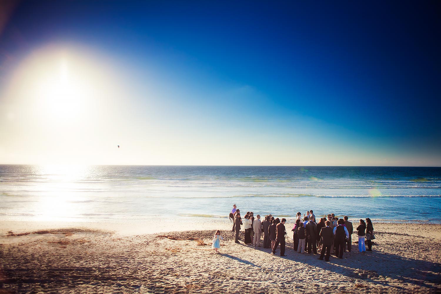 Torrey Pines State Beach Wedding | Stephen Grant Photography