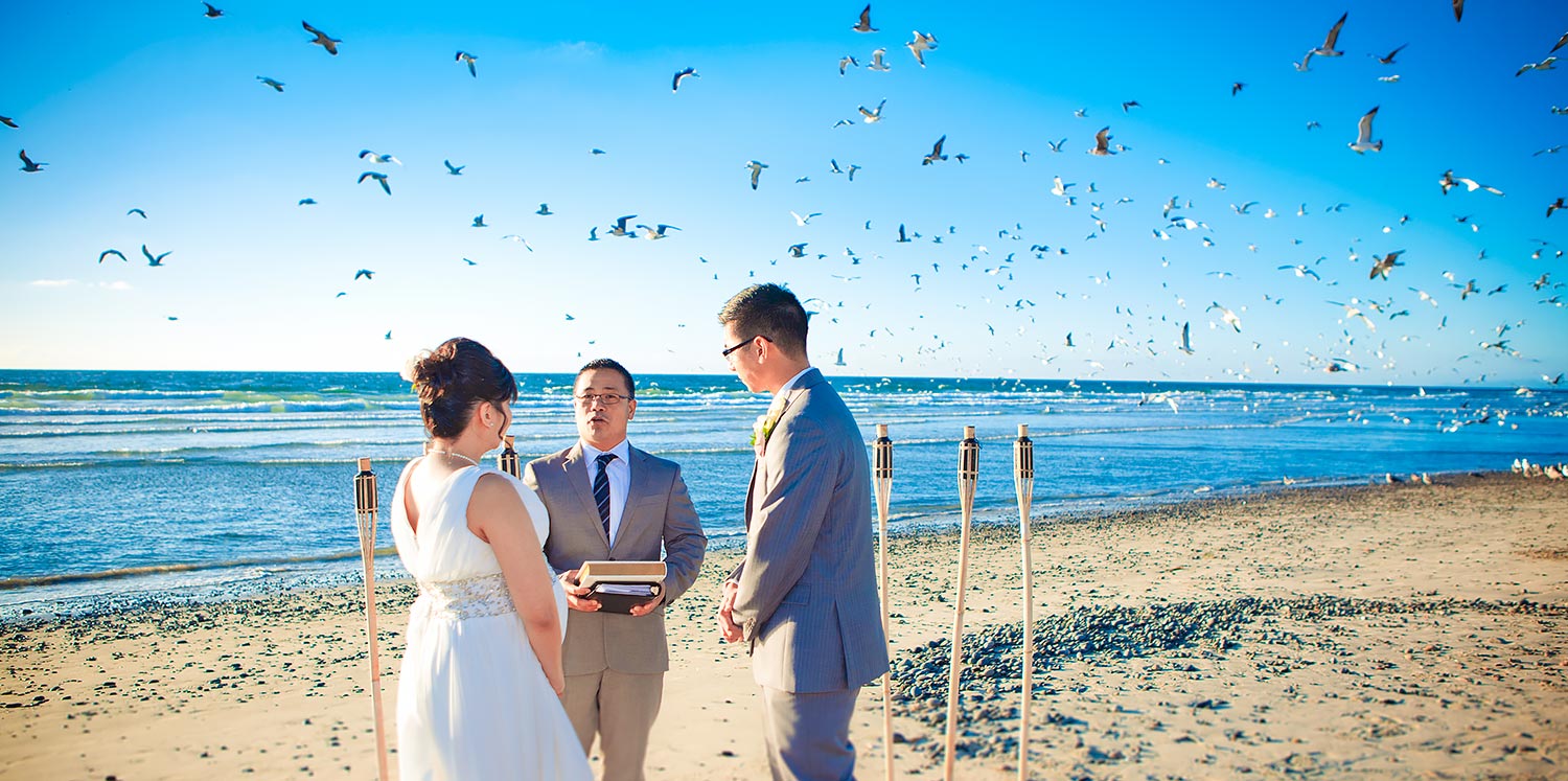 Torrey Pines State Beach Wedding | Stephen Grant Photography