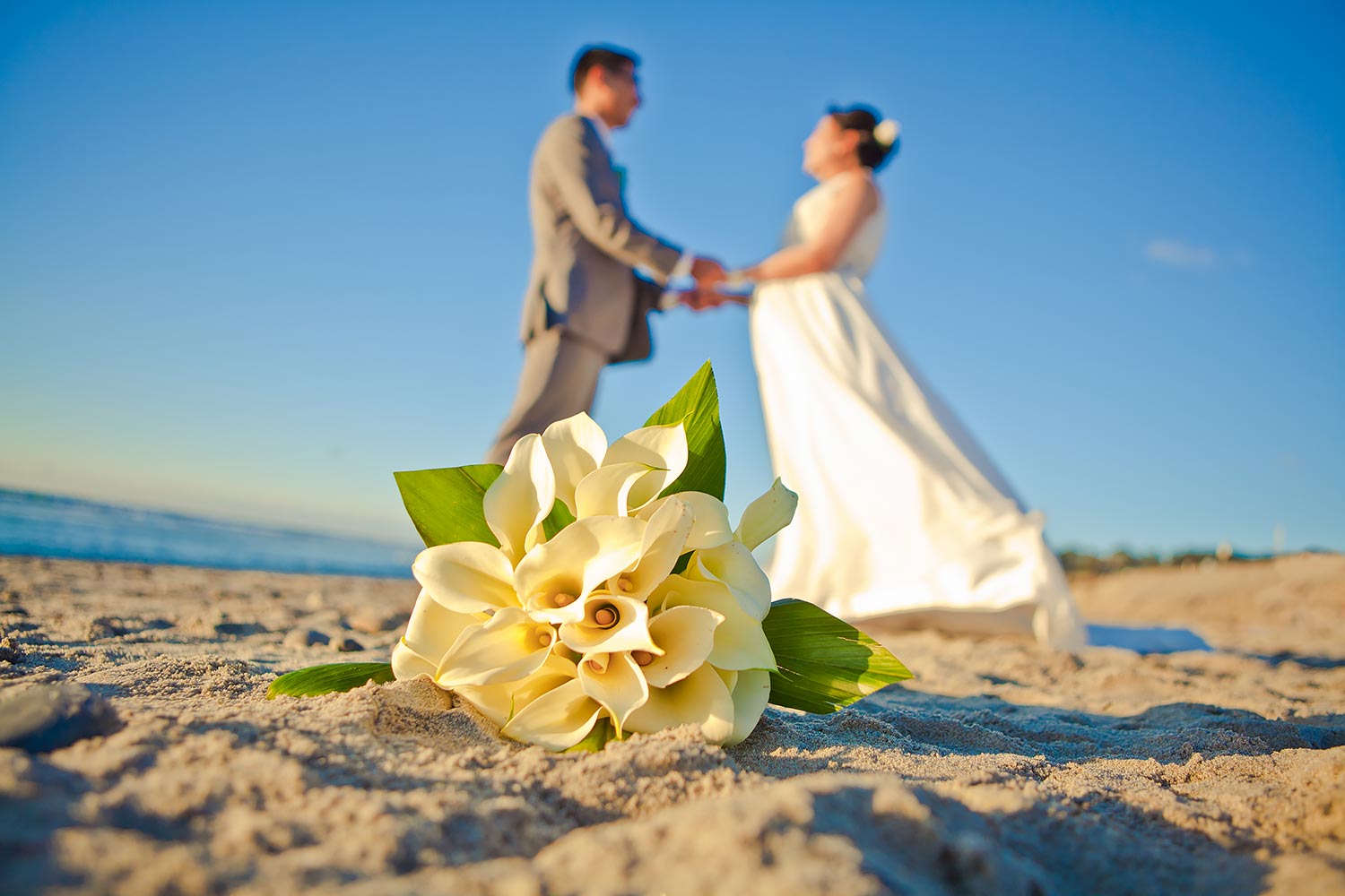 Torrey Pines State Beach Wedding | Stephen Grant Photography