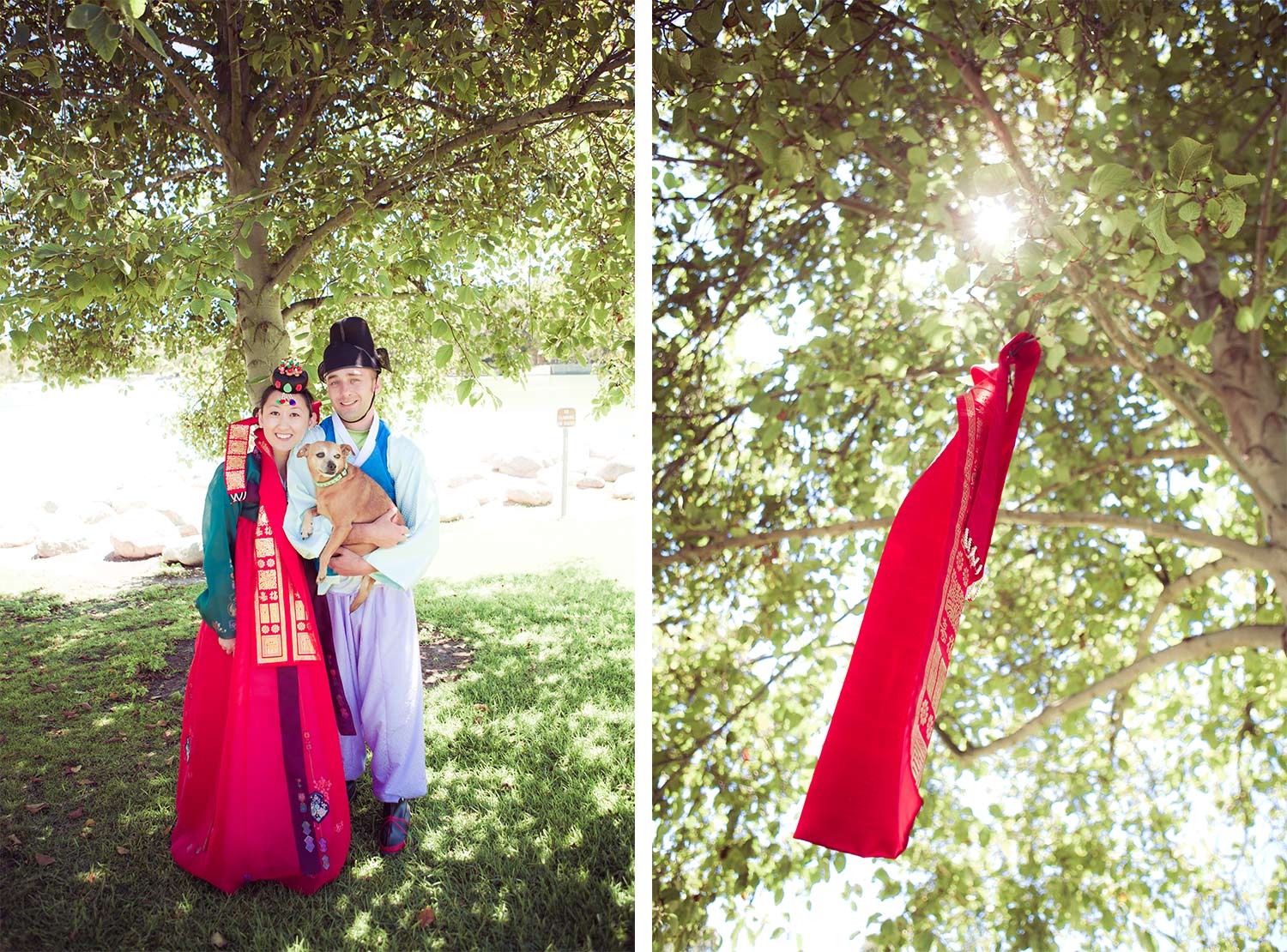 William R Mason Park Wedding | Stephen Grant Photography