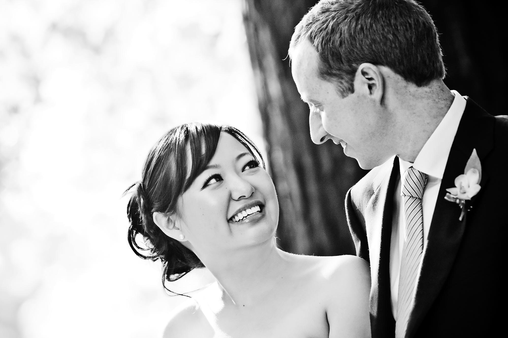 North Shore Wedding Photographer | Stephen Grant Photography