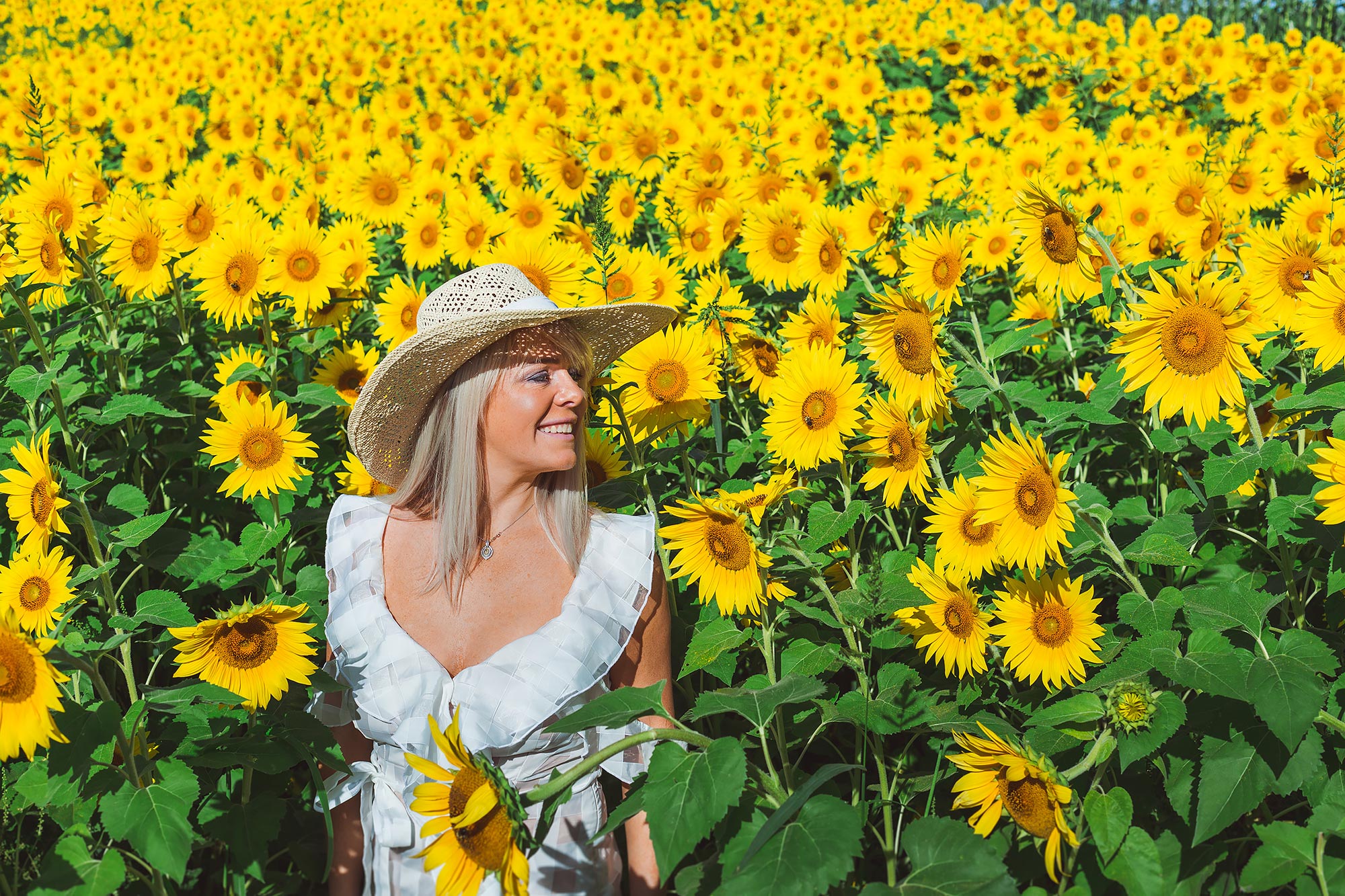 Colby Farm Sunflower Portrait Photographer | Stephen Grant Photography