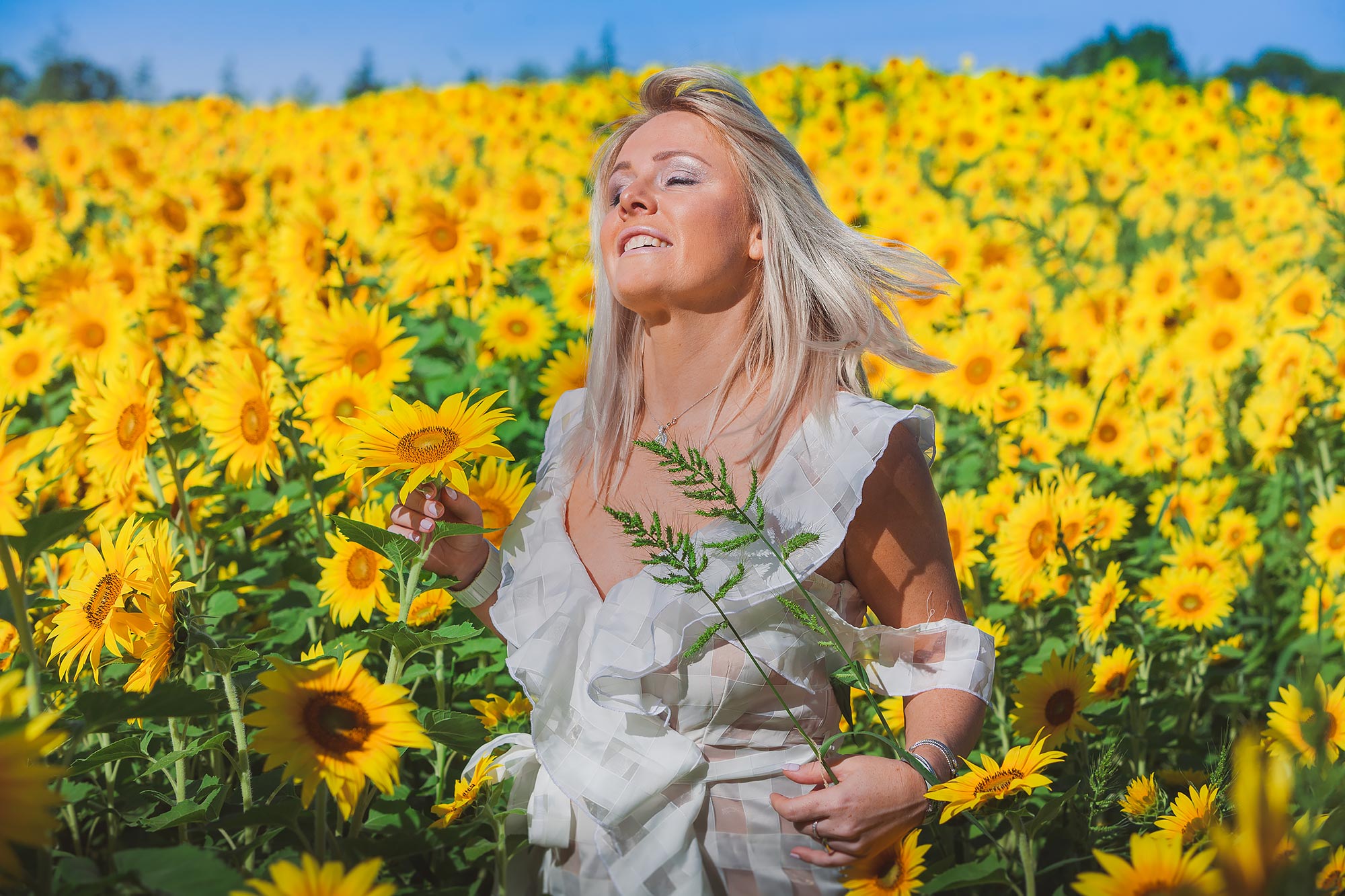 Colby Farm Sunflower Portrait Photographer | Stephen Grant Photography