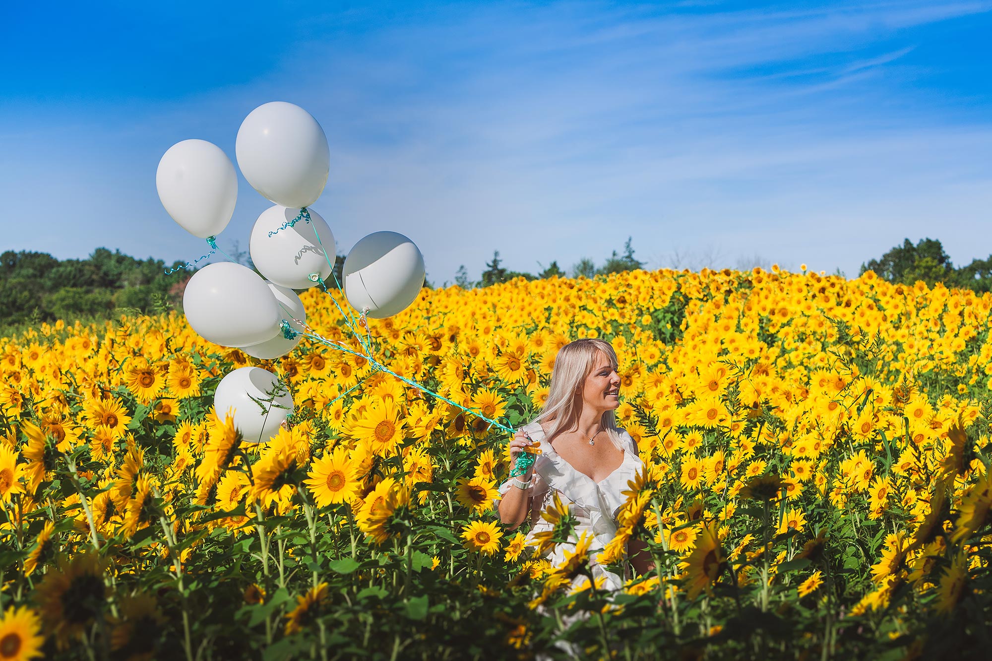 Colby Farm Sunflower Portrait Photographer | Stephen Grant Photography