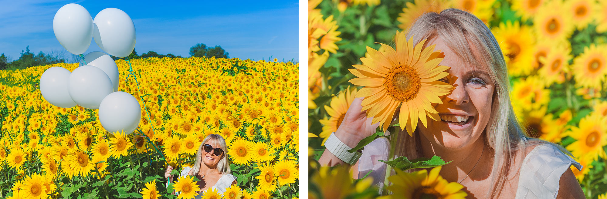 Colby Farm Sunflower Portrait Photographer | Stephen Grant Photography