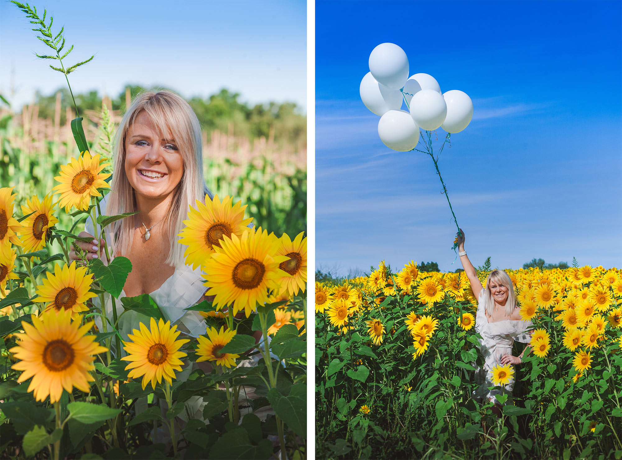 Colby Farm Sunflower Portrait Photographer | Stephen Grant Photography