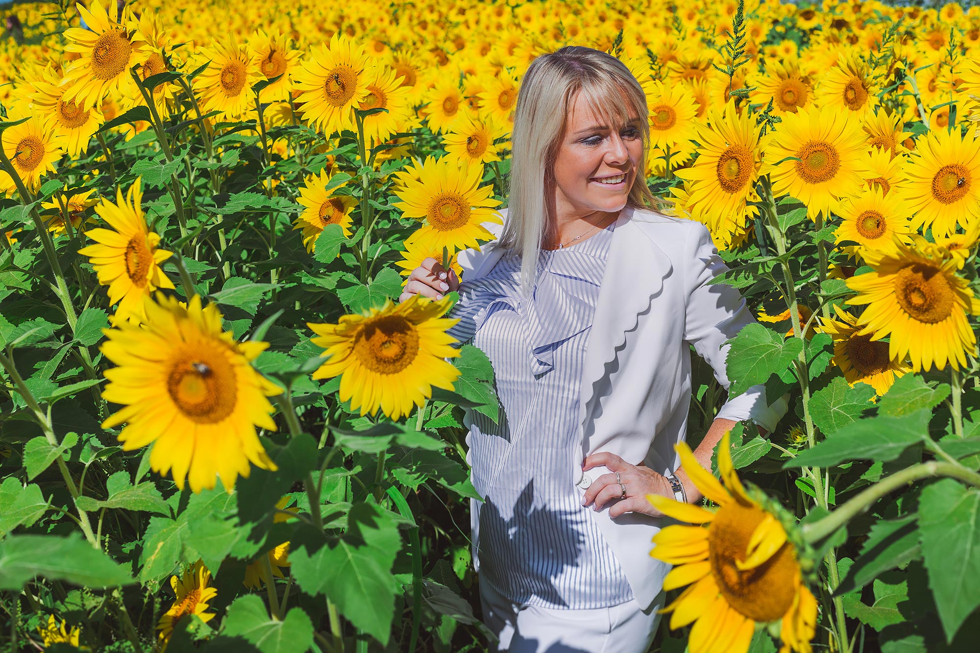Colby Farm Sunflower Portrait Photographer | Stephen Grant Photography