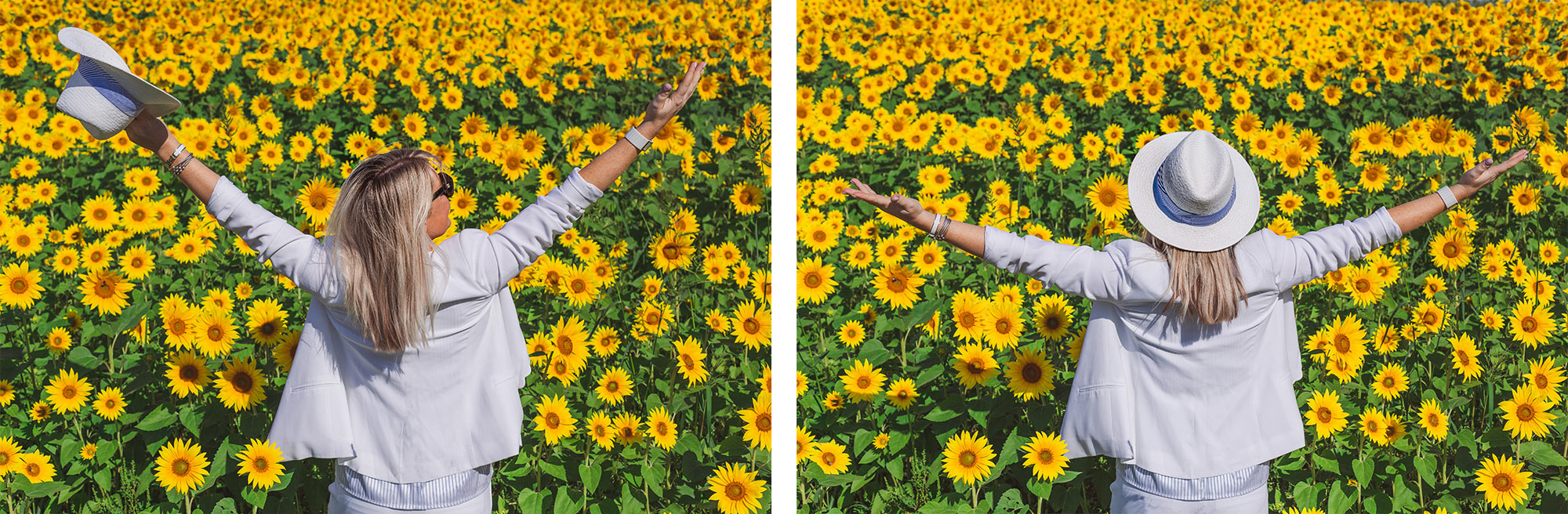 Colby Farm Sunflower Portrait Photographer | Stephen Grant Photography