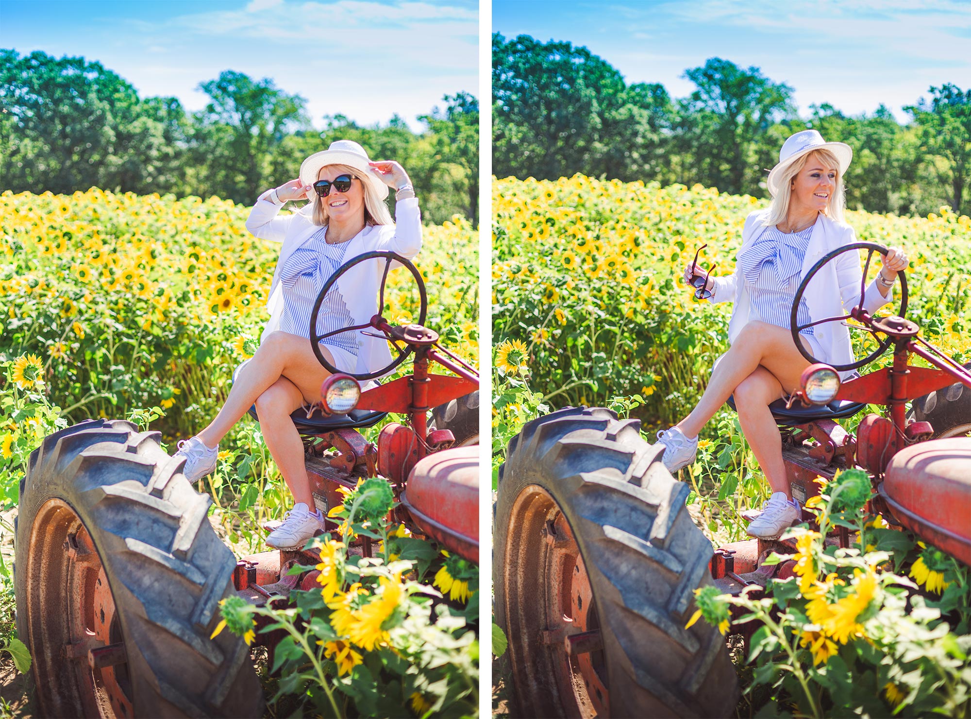 Colby Farm Sunflower Portrait Photographer | Stephen Grant Photography