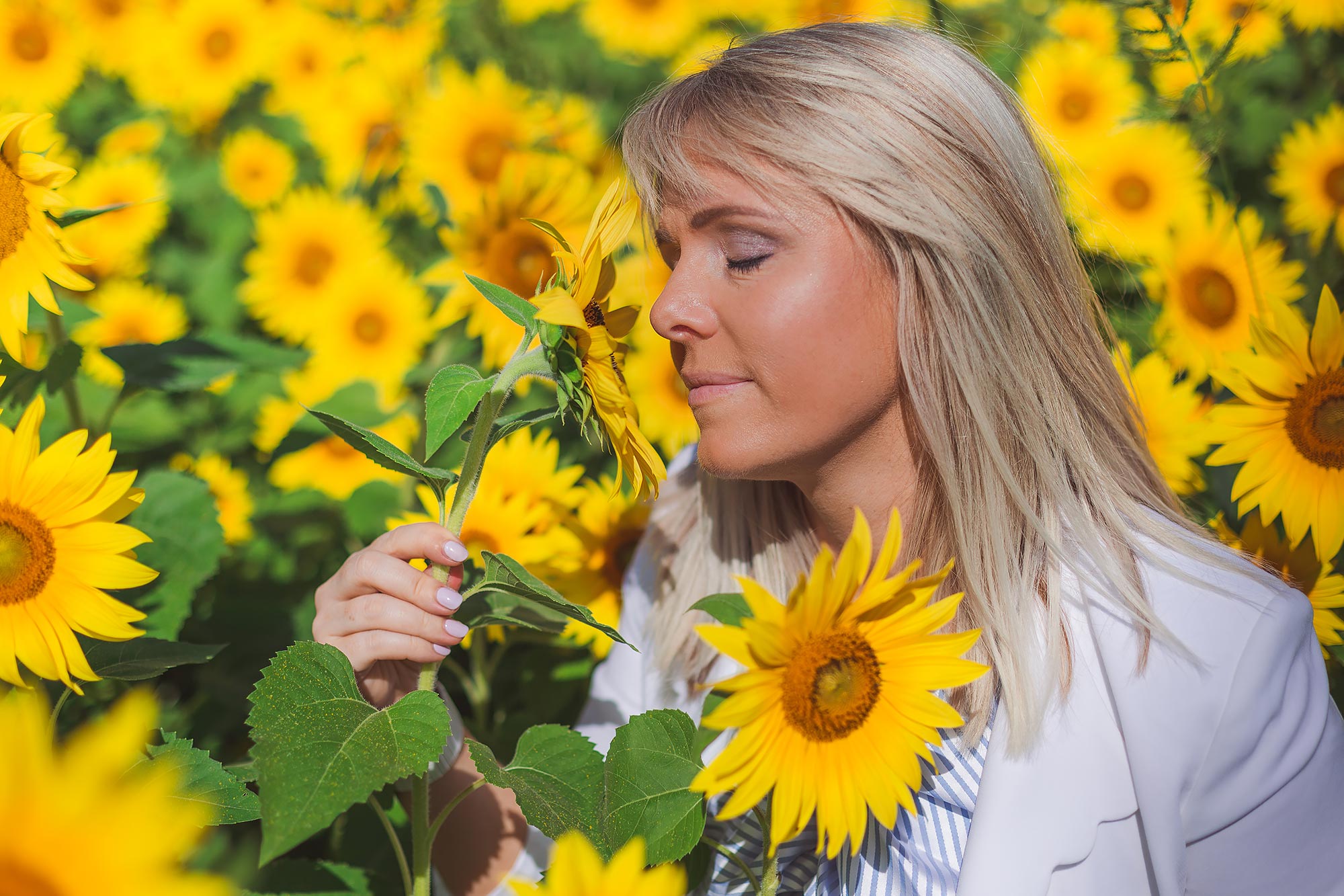 Colby Farm Sunflower Portrait Photographer | Stephen Grant Photography