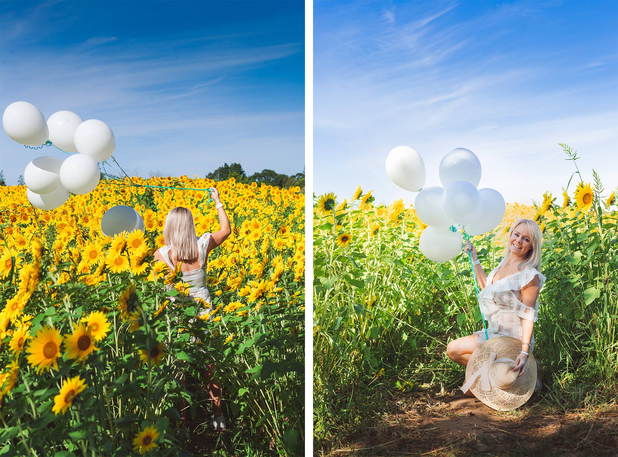 Colby Farm Sunflower Portrait Photographer | Stephen Grant Photography