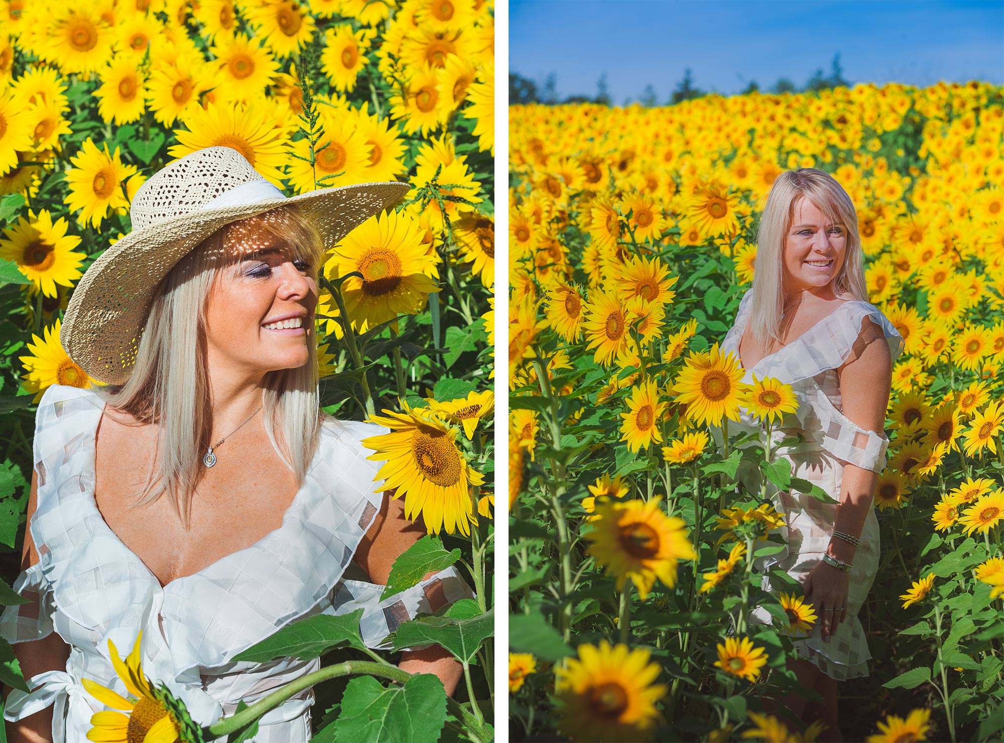 Colby Farm Sunflower Portrait Photographer | Stephen Grant Photography