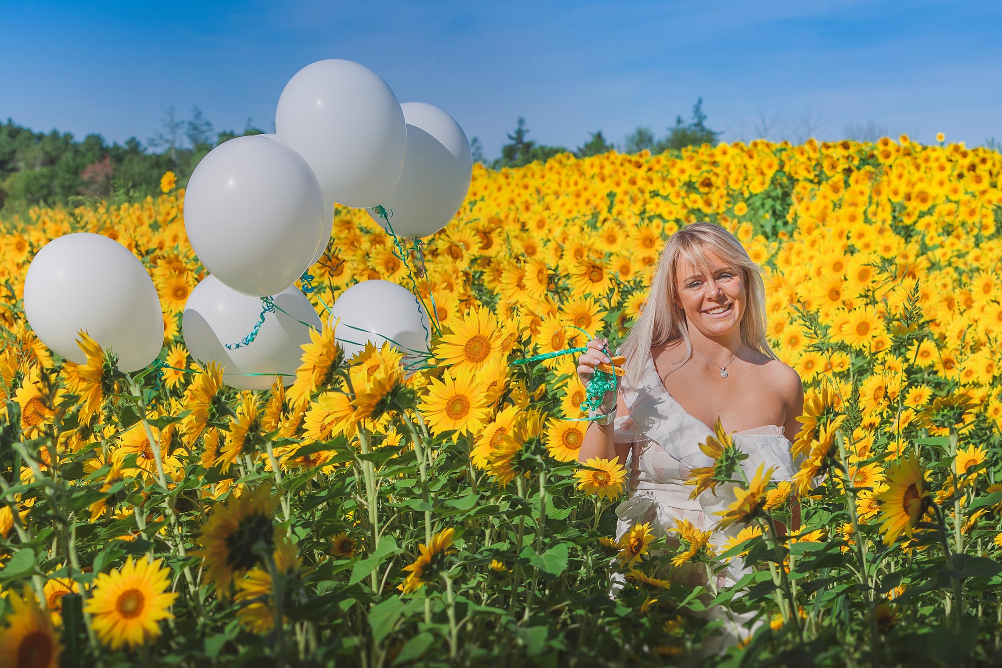 Colby Farm Sunflower Portrait Photographer | Stephen Grant Photography