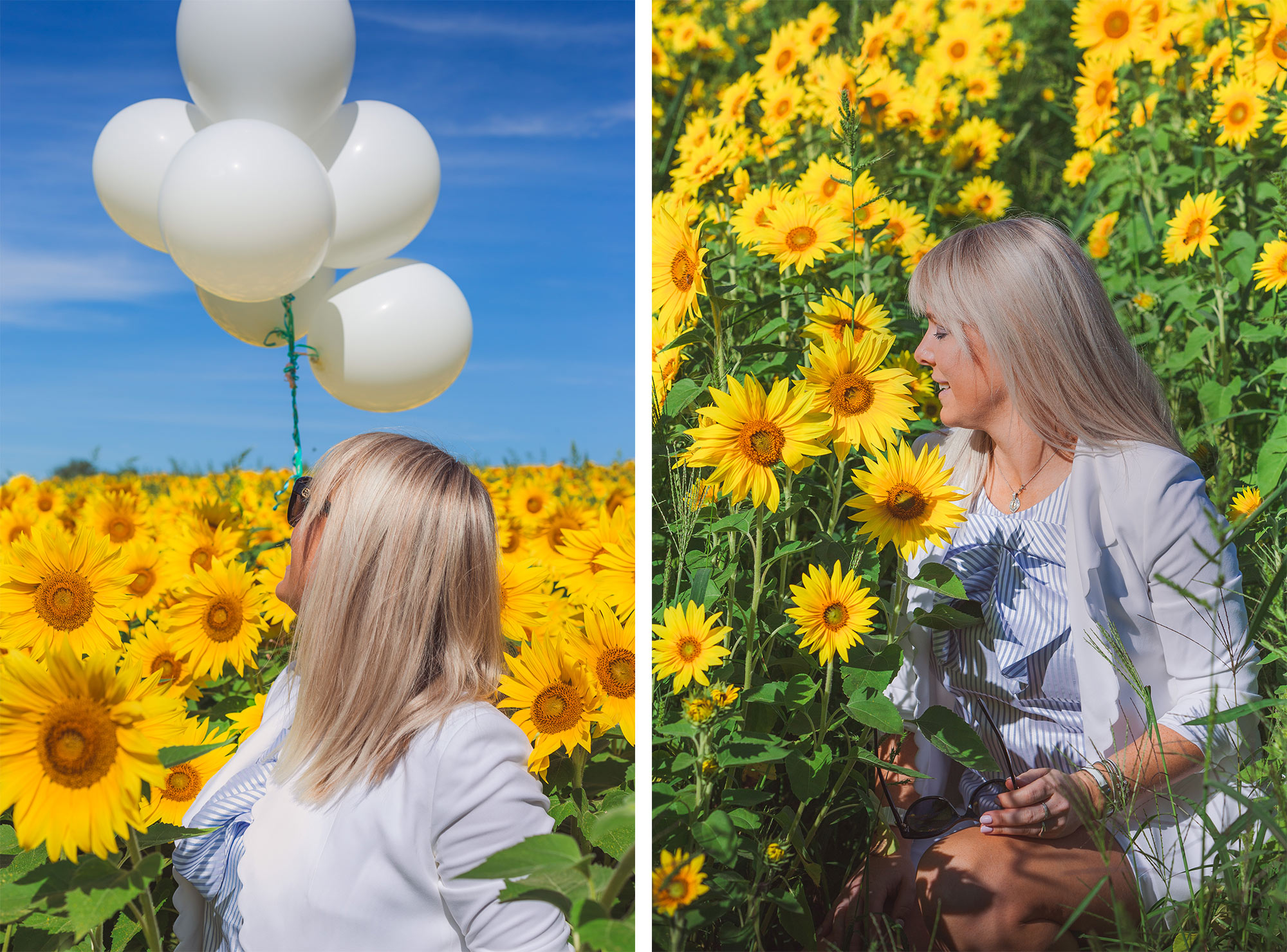 Colby Farm Sunflower Portrait Photographer | Stephen Grant Photography