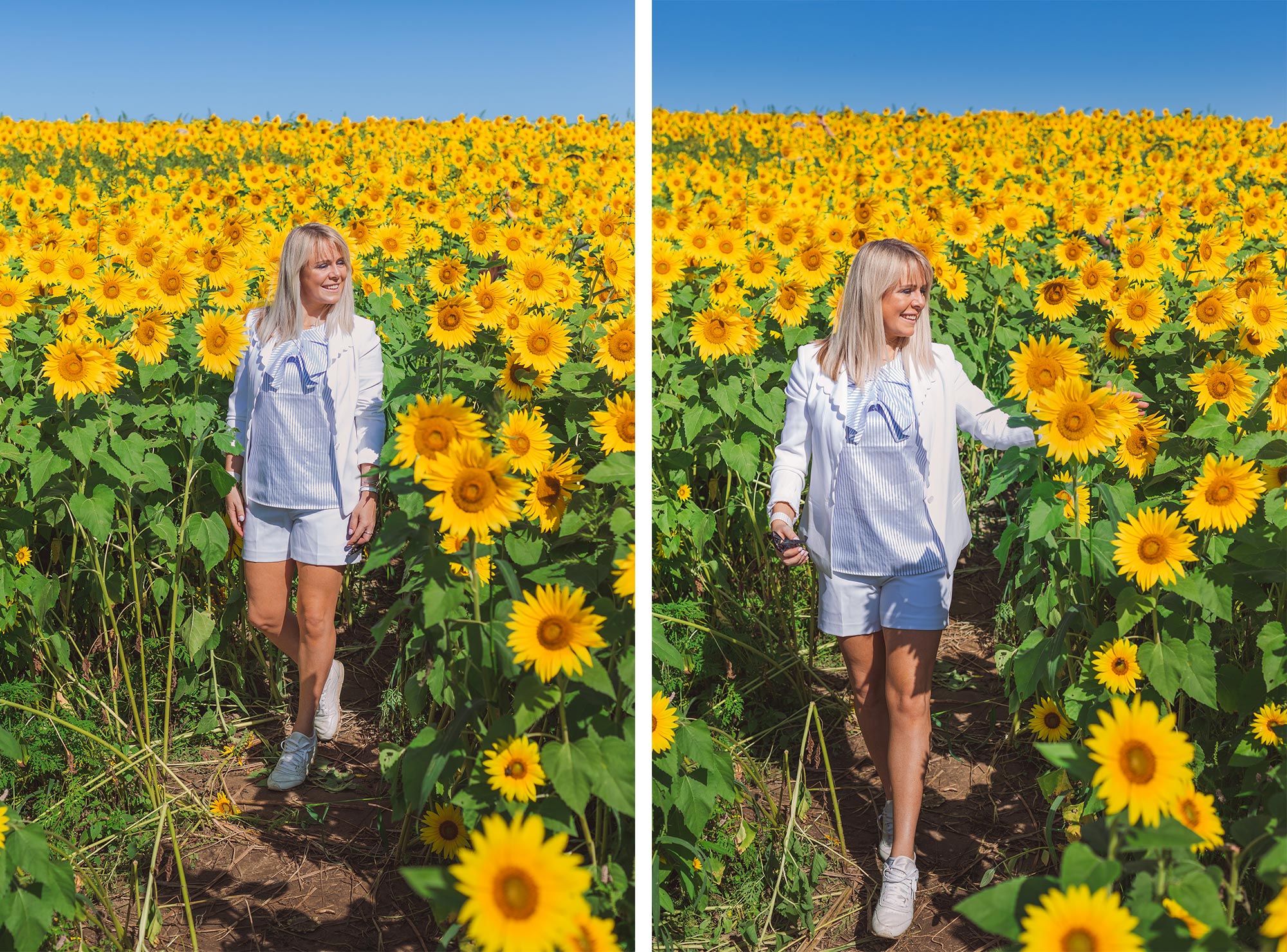 Colby Farm Sunflower Portrait Photographer | Stephen Grant Photography