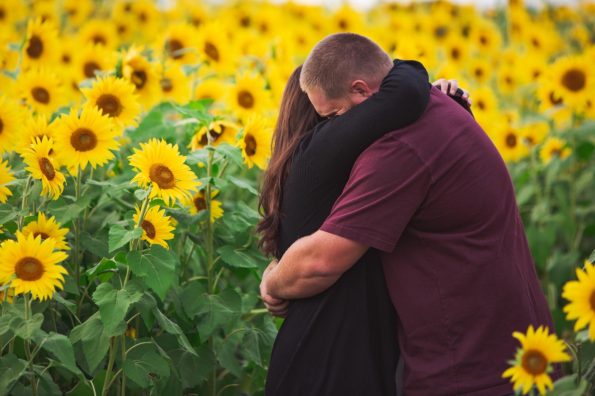 Colby Farm Sunflower Engagement Proposal | Stephen Grant Photography