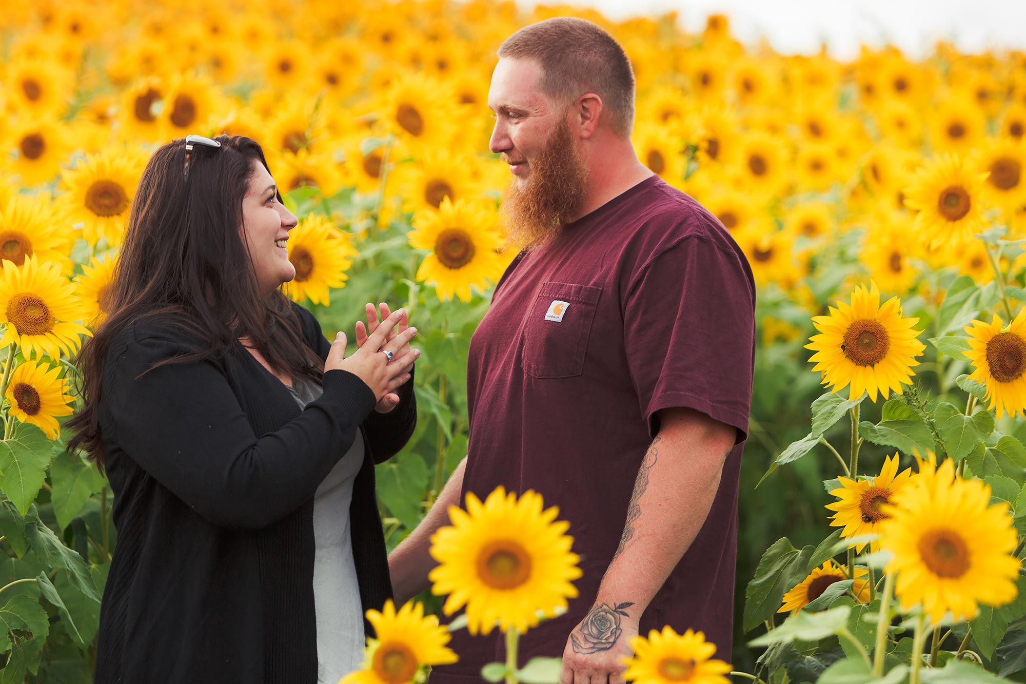 Colby Farm Sunflower Engagement Picture | Stephen Grant Photography