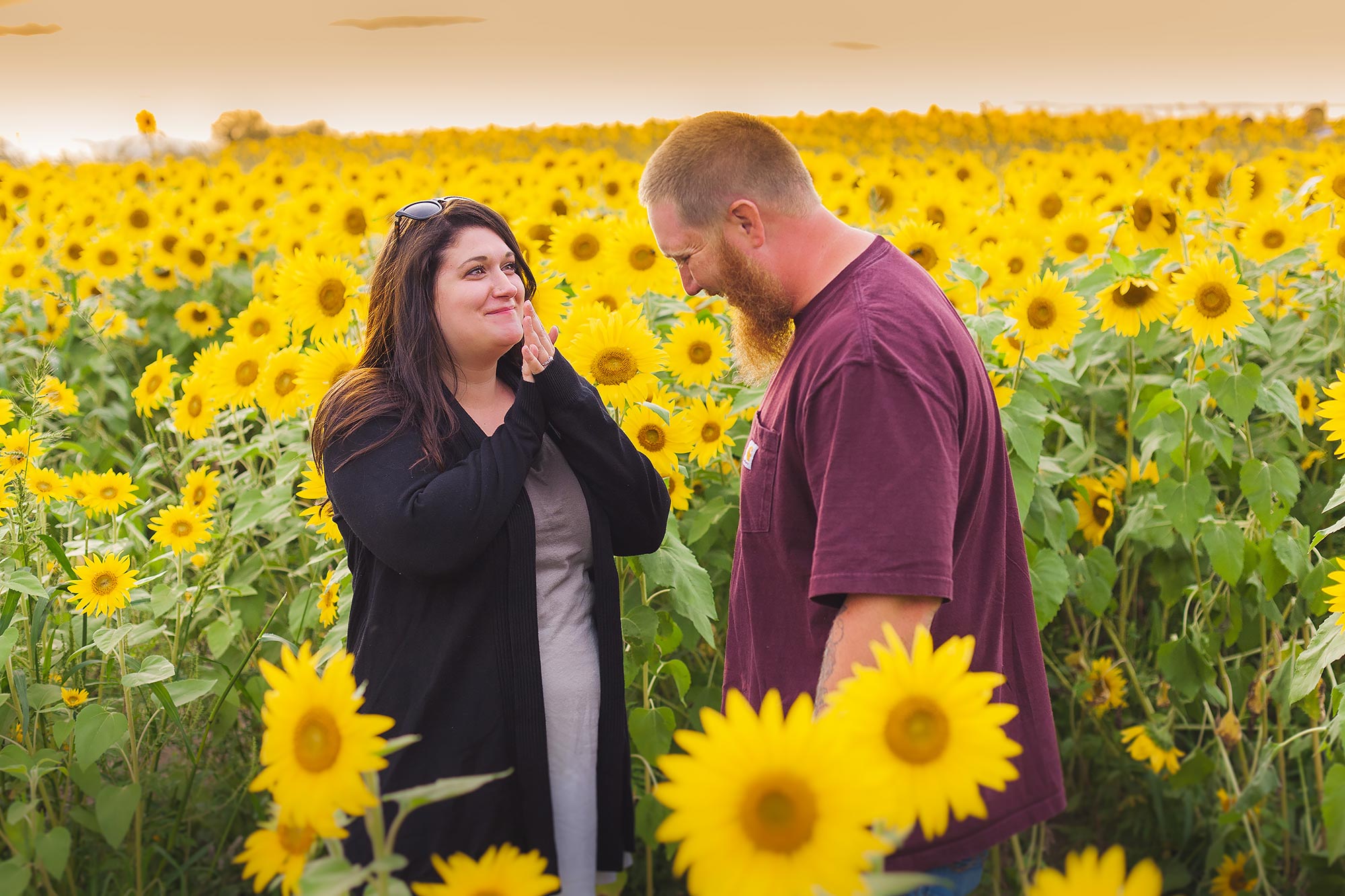 Colby Farm Sunflower Engagement Proposal | Stephen Grant Photography