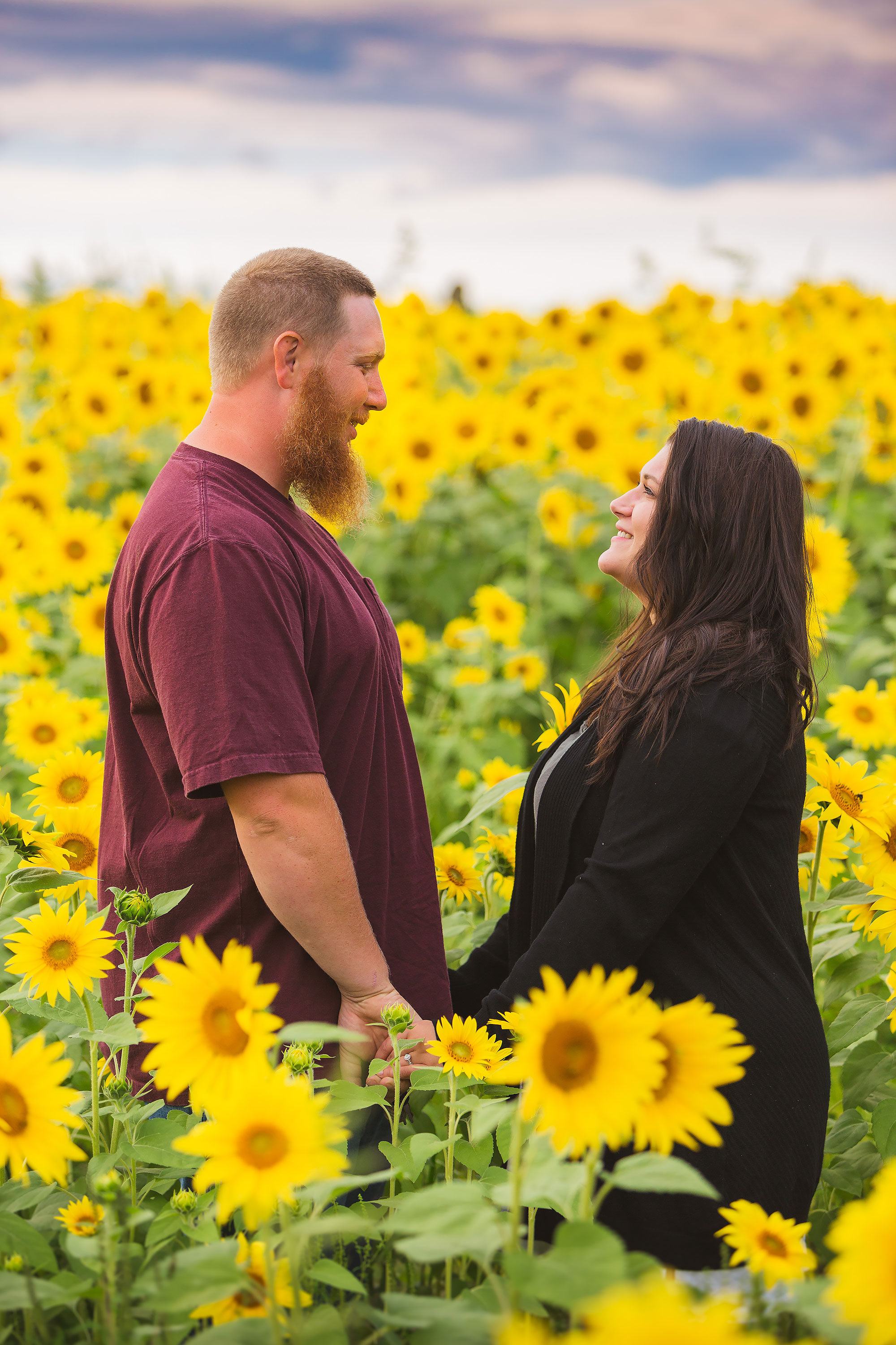 Colby Farm Sunflower Engagement Picture | Stephen Grant Photography
