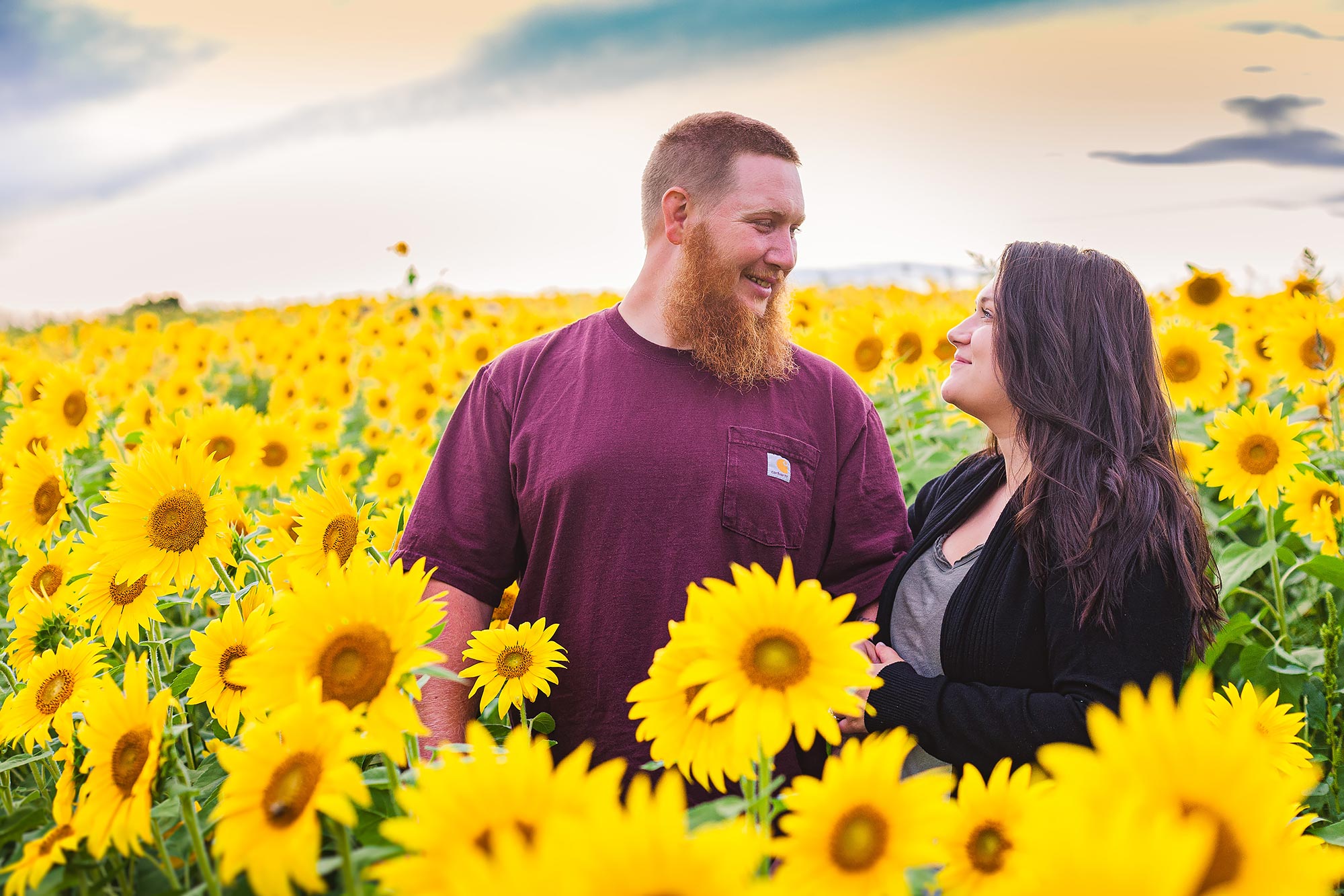Colby Farm Sunflowers Portrait Photographer  | Stephen Grant Photography